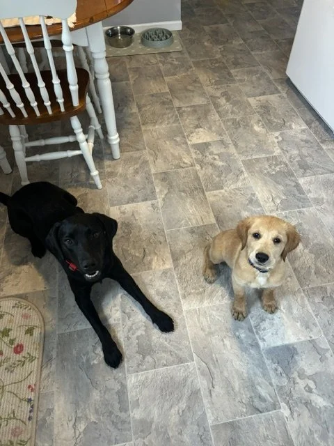 image3.jpeg