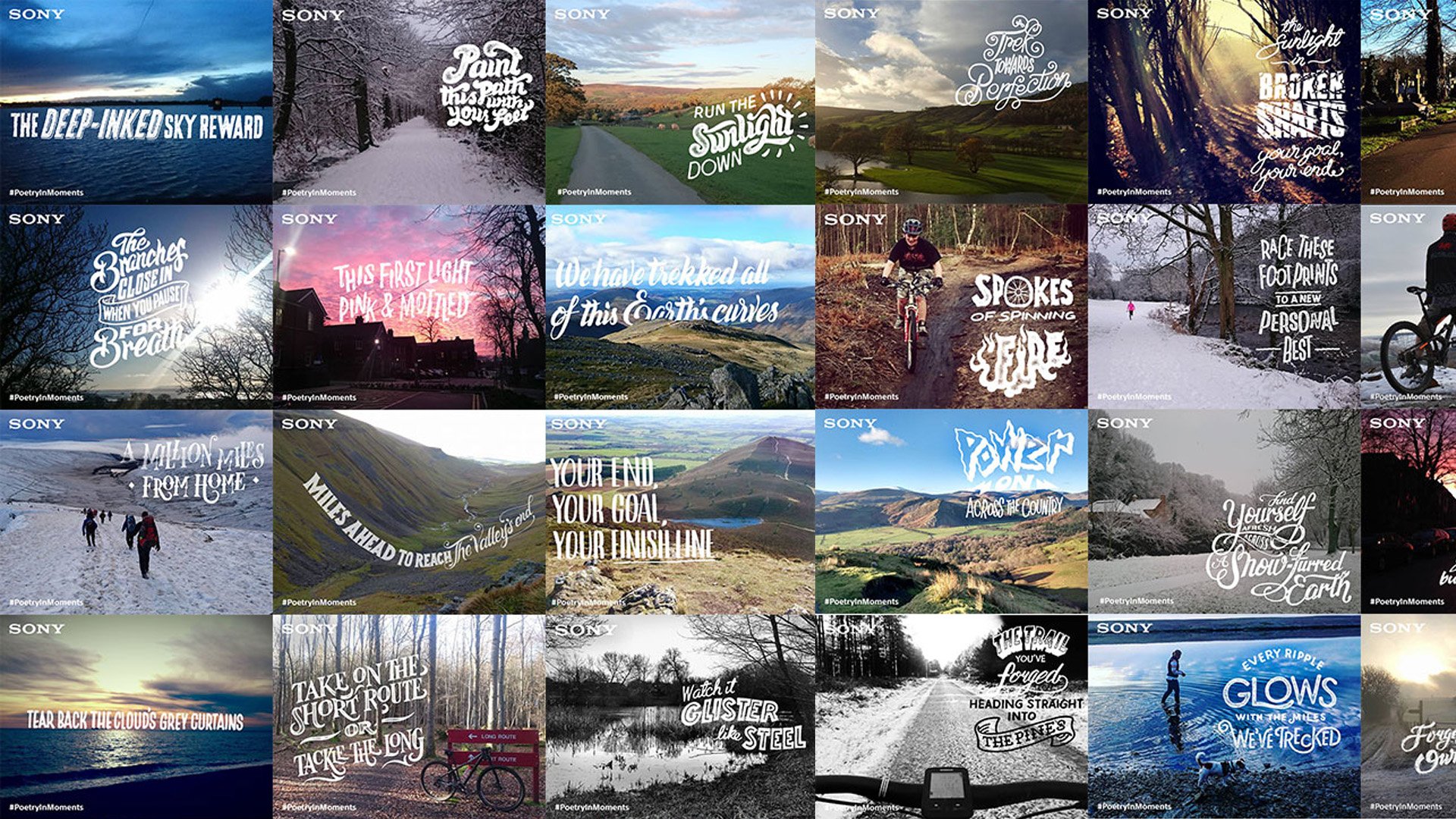 sony poetry in moments landscape collage.jpg
