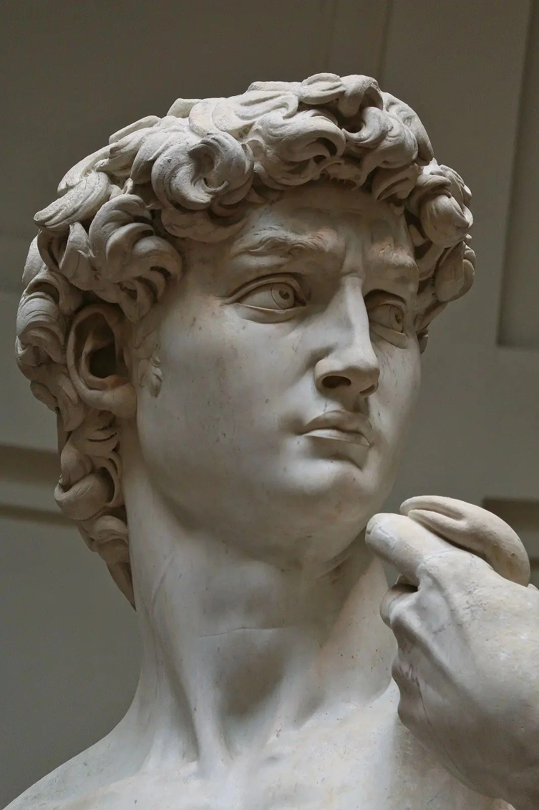MICHELANGELO'S DAVID