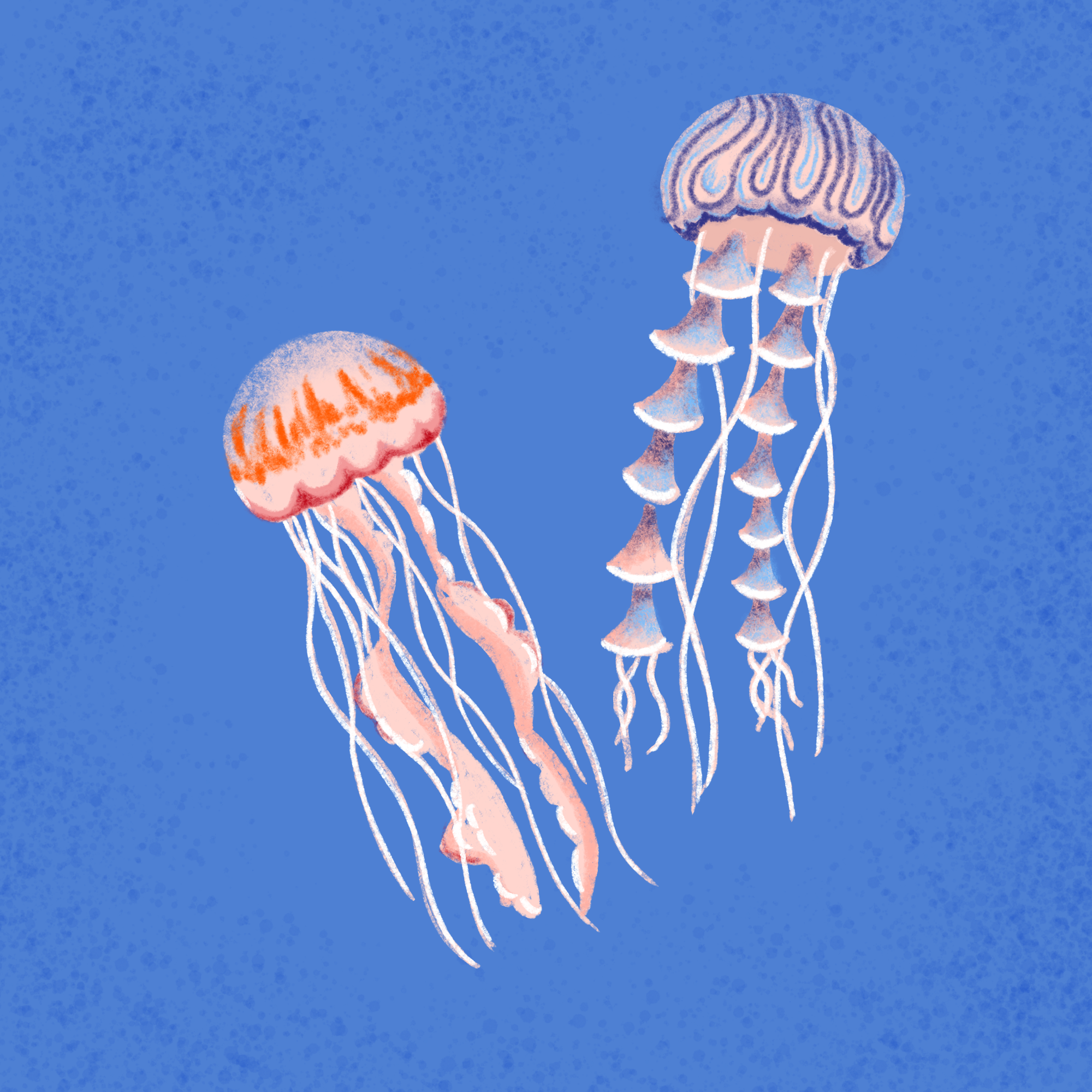 Untitled_Artwork 2.png