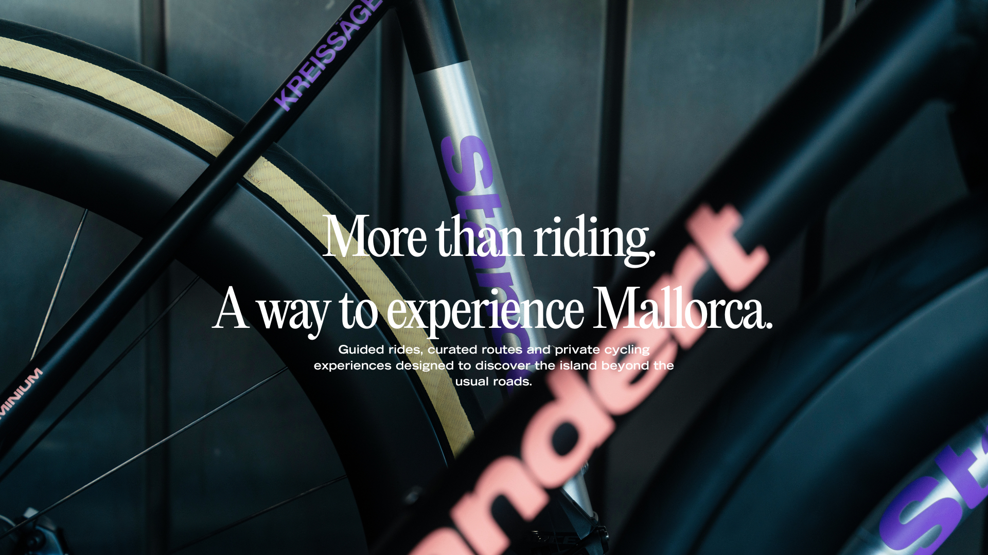 remium road bike rental in Palma de Mallorca with cyclists riding on coastal roads