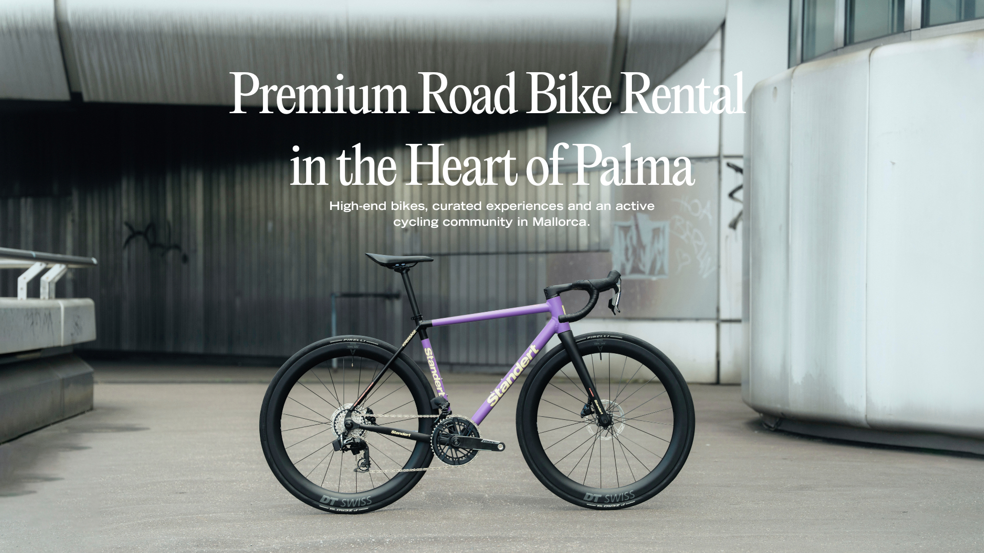 Standert road bike prepared for rental at a premium bike shop in Palma