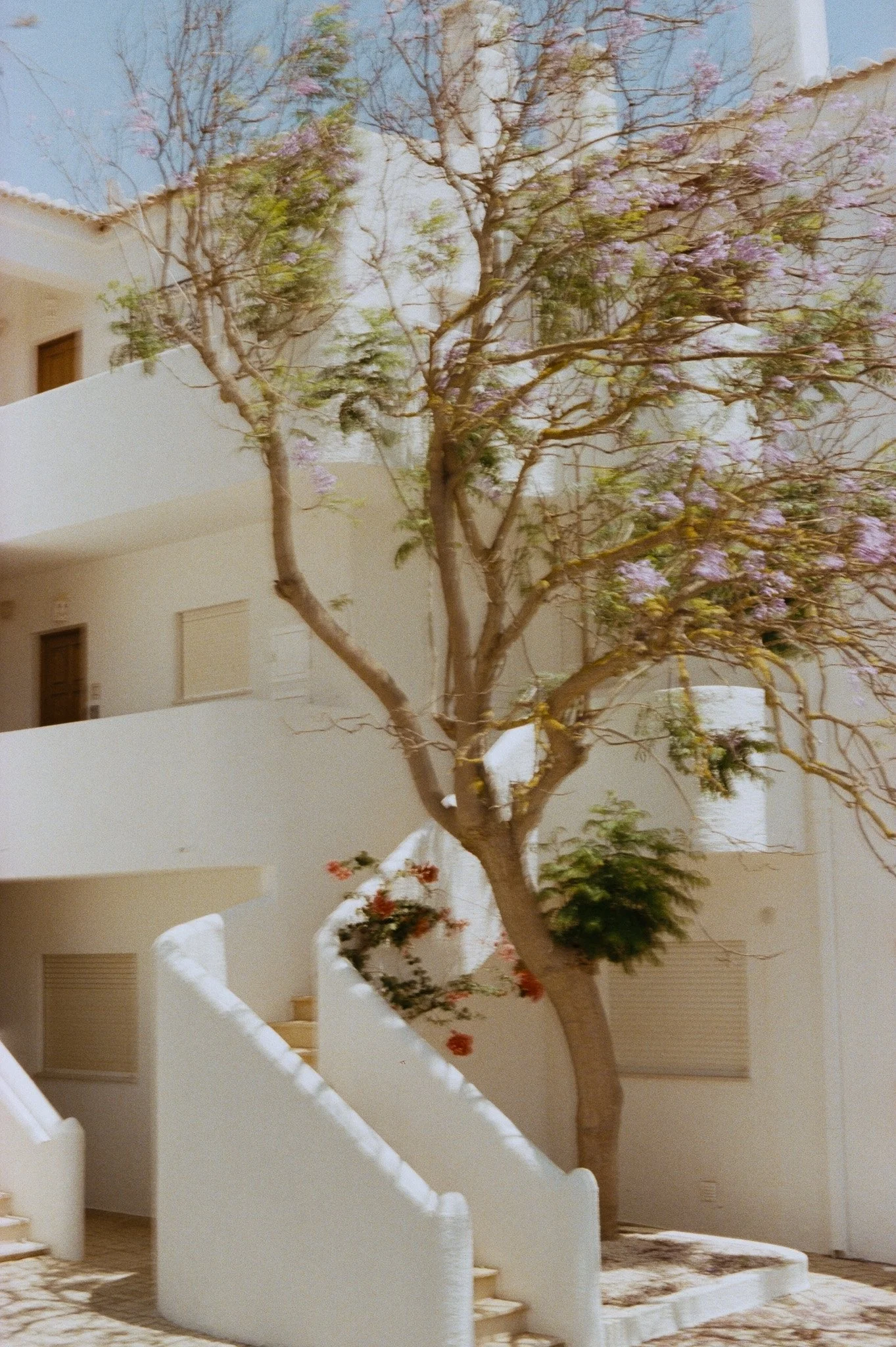 5d20e-21.jpg