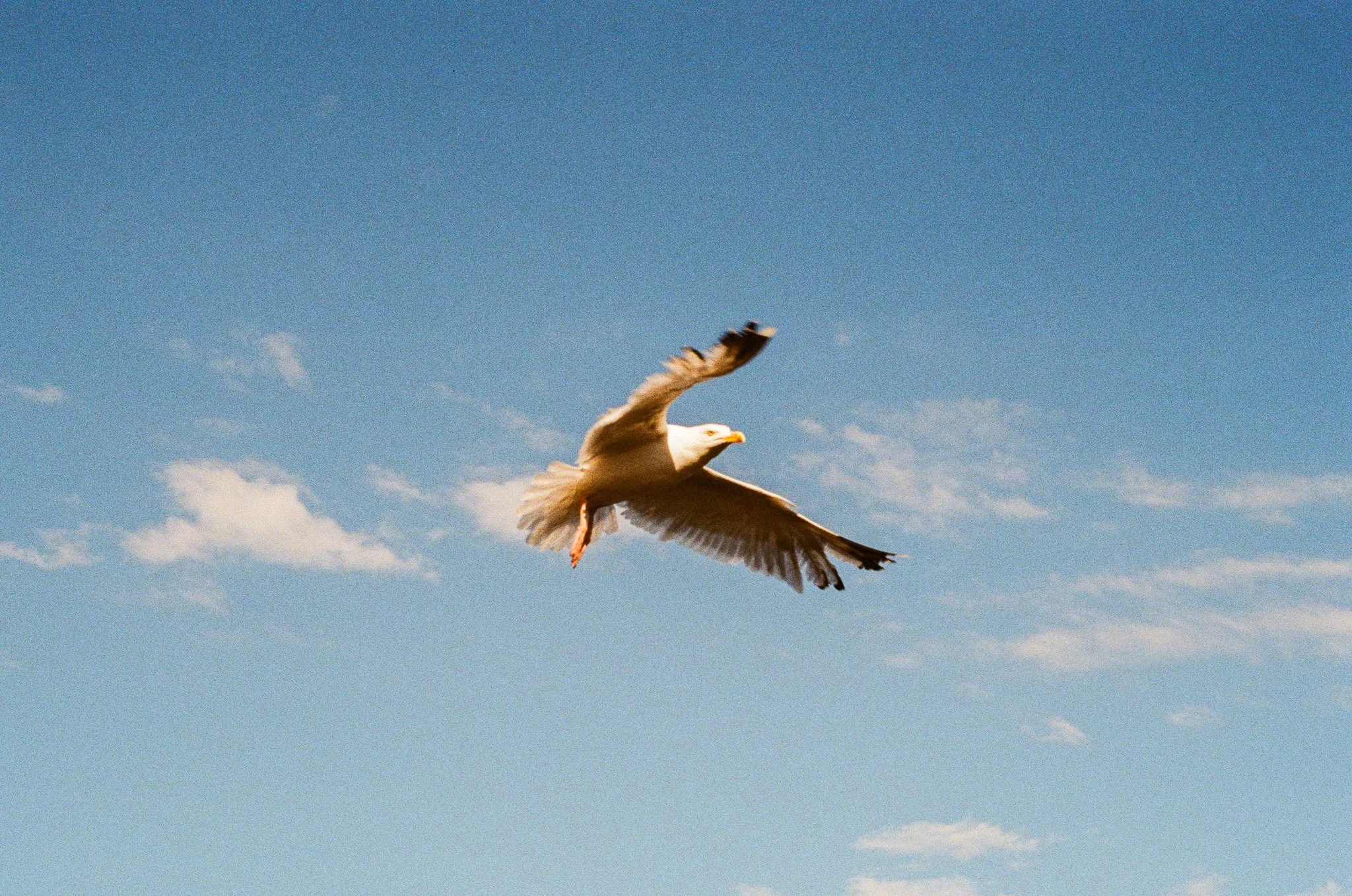003-859b6.jpg