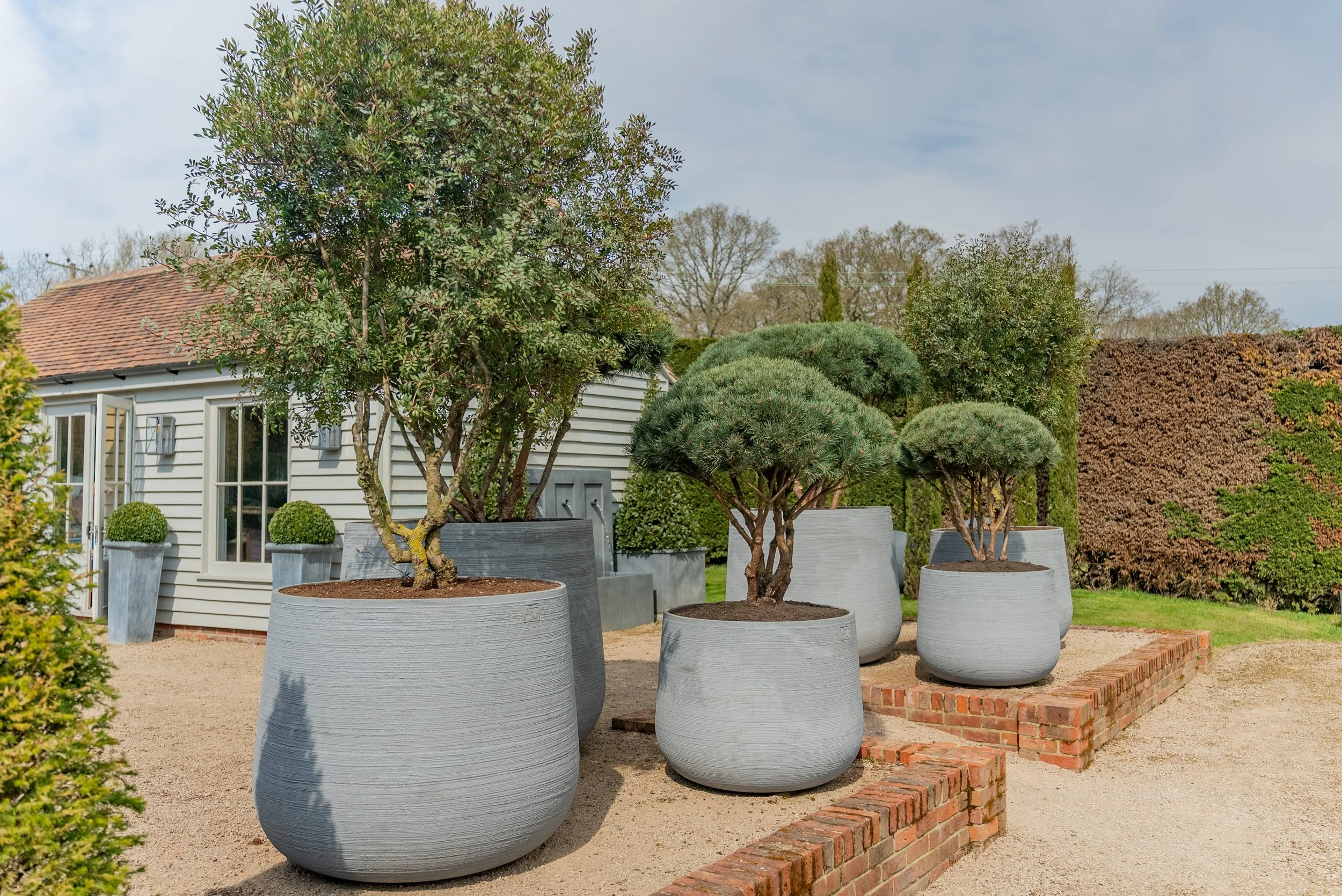 A garden scene with five large, gray, round planters containing various shrubs and small trees, set on a raised brick platform in front of a light-colored house, with a background of trees and a cloudy sky.
