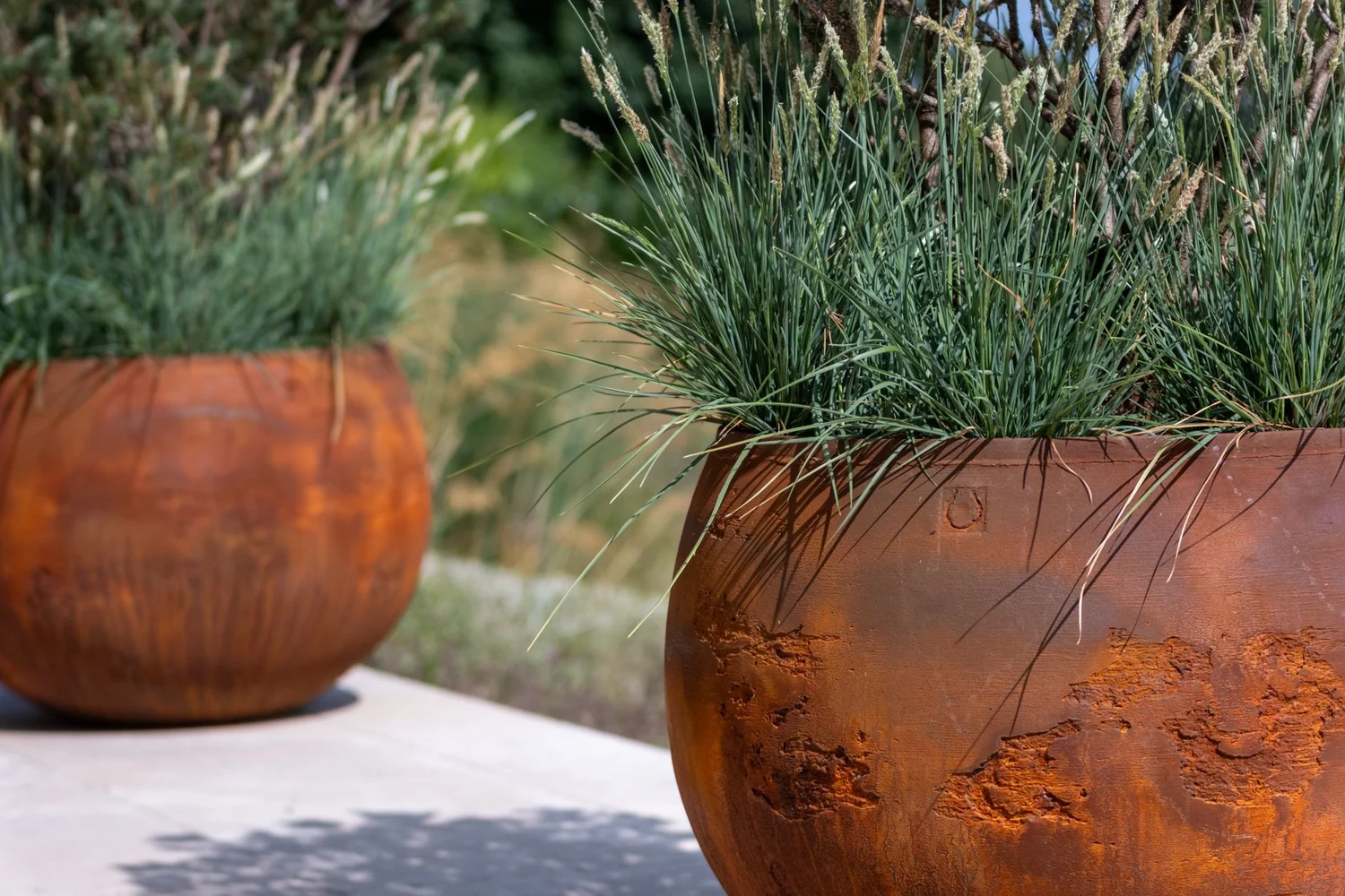 Asa  Torc Pots