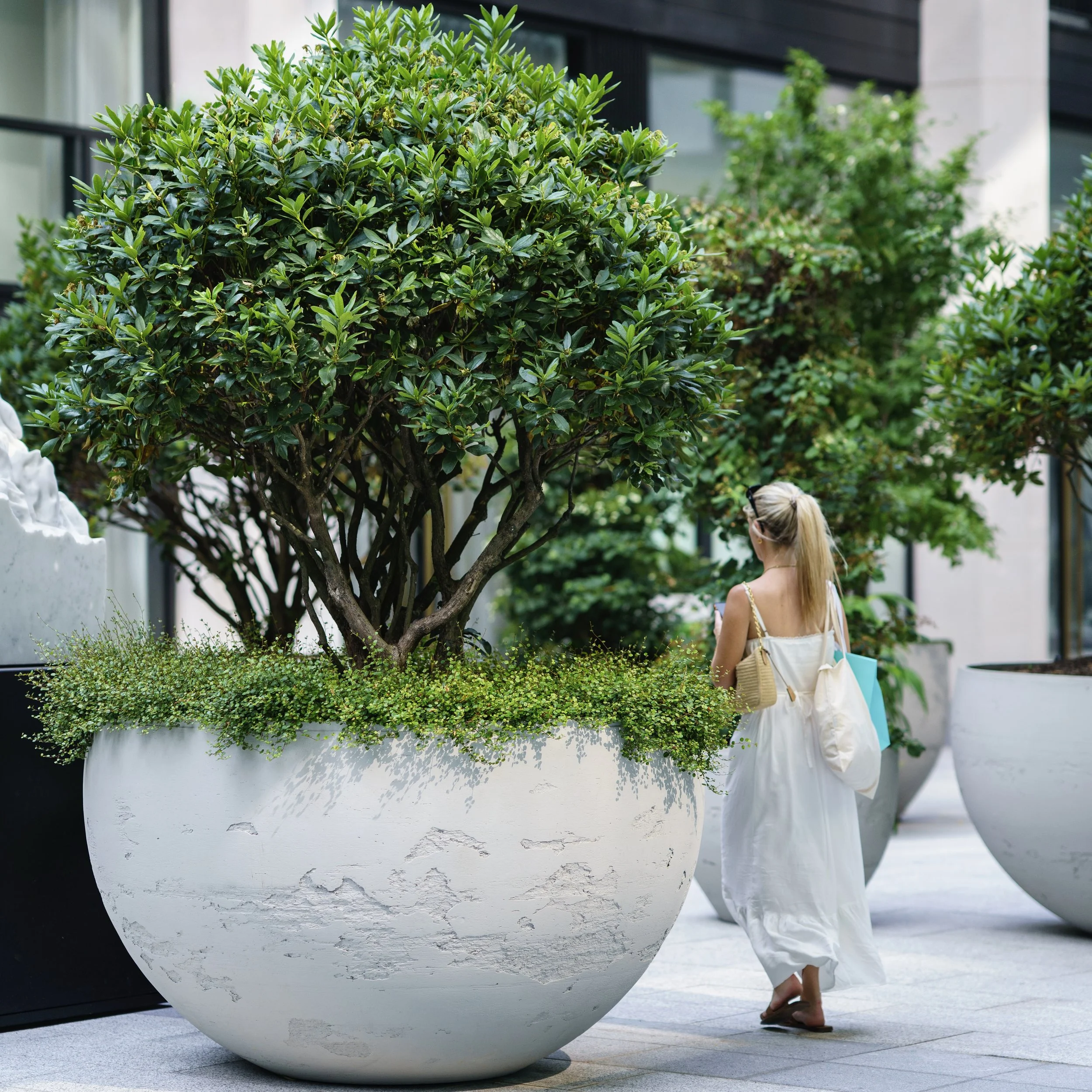 The Whiteley, London 