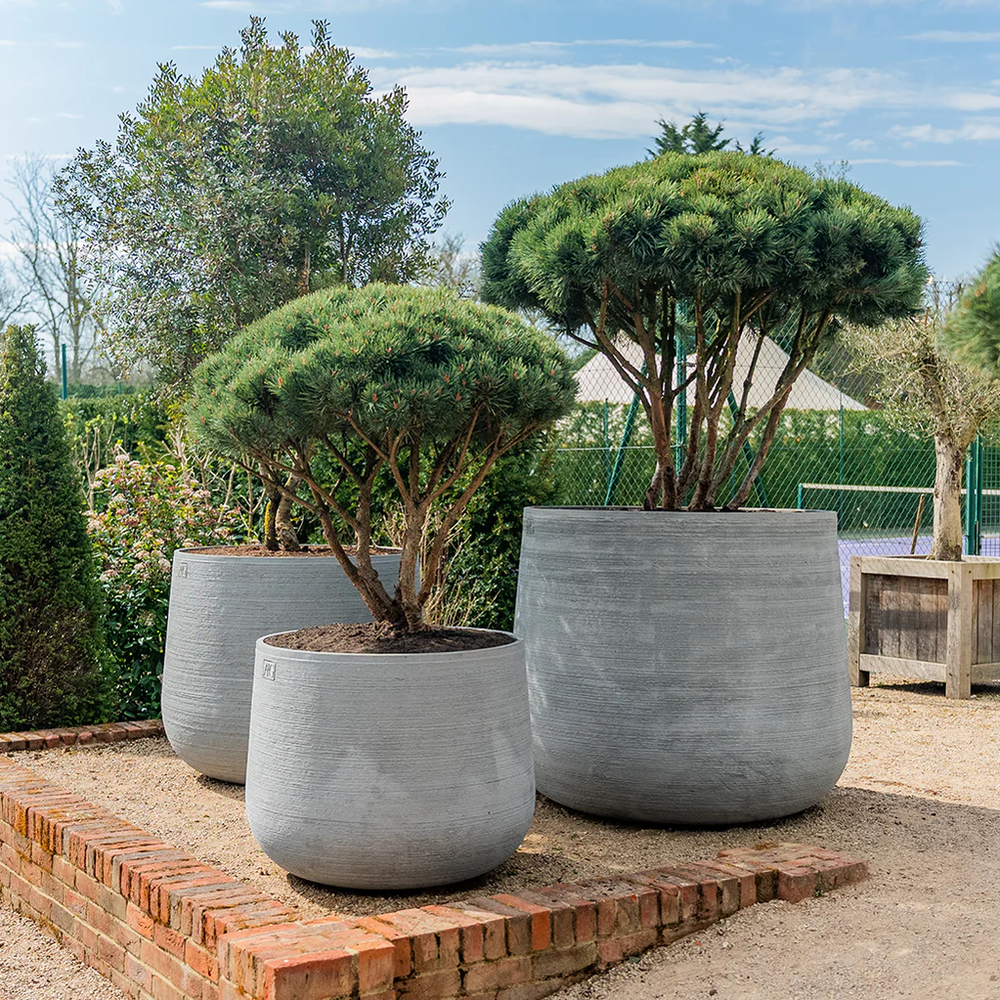 Opus — Torc Pots
