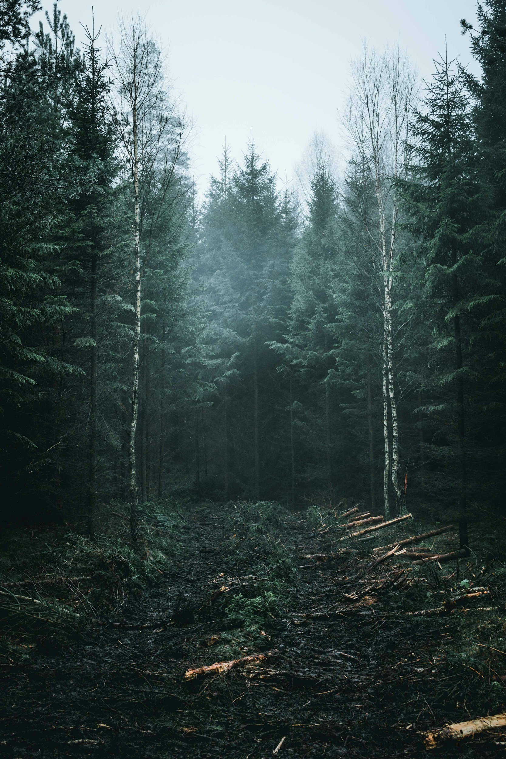 unsplash-image-TeJitCk3ftc.jpg