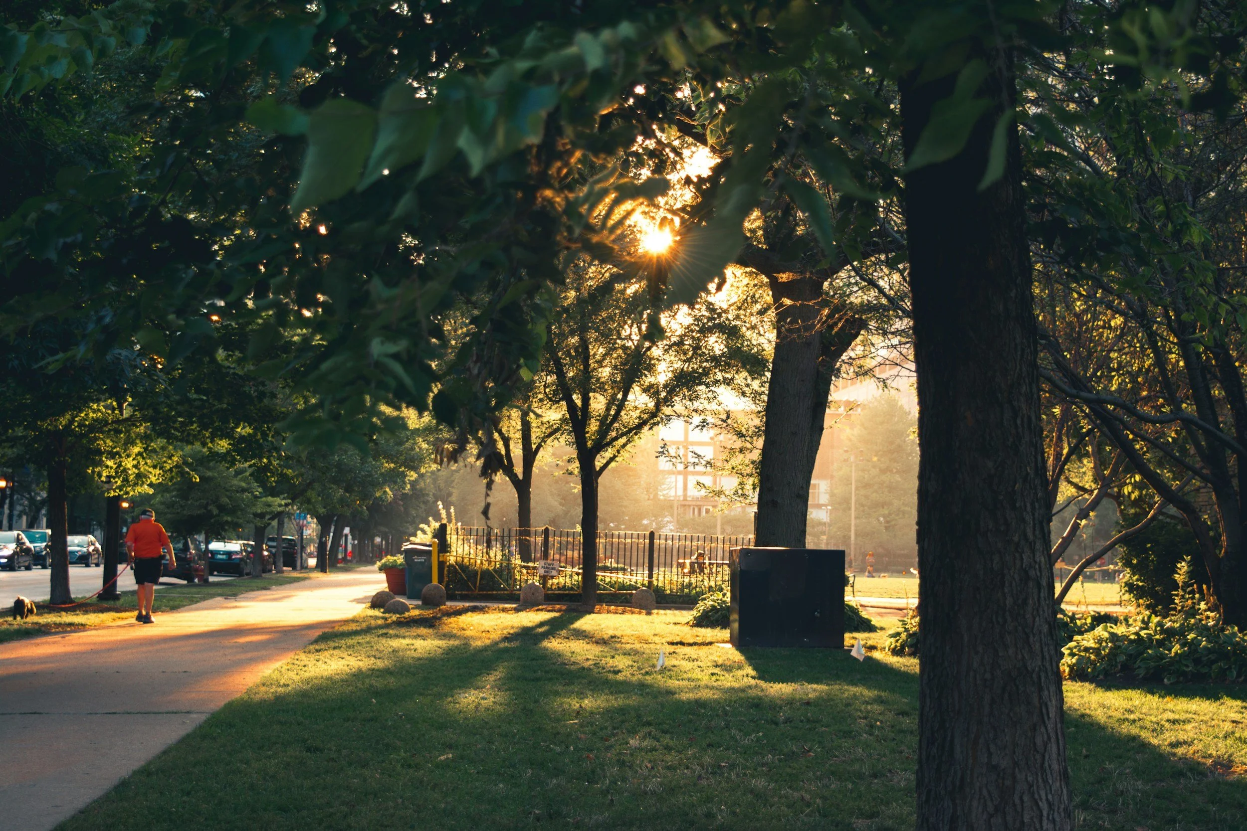 green city park with footpath