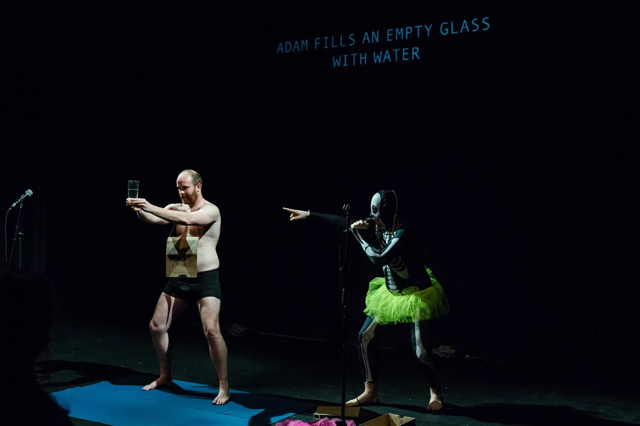 Skeletons (Or How I Learned to Love F**king Up) | New Diorama Theatre | 2017