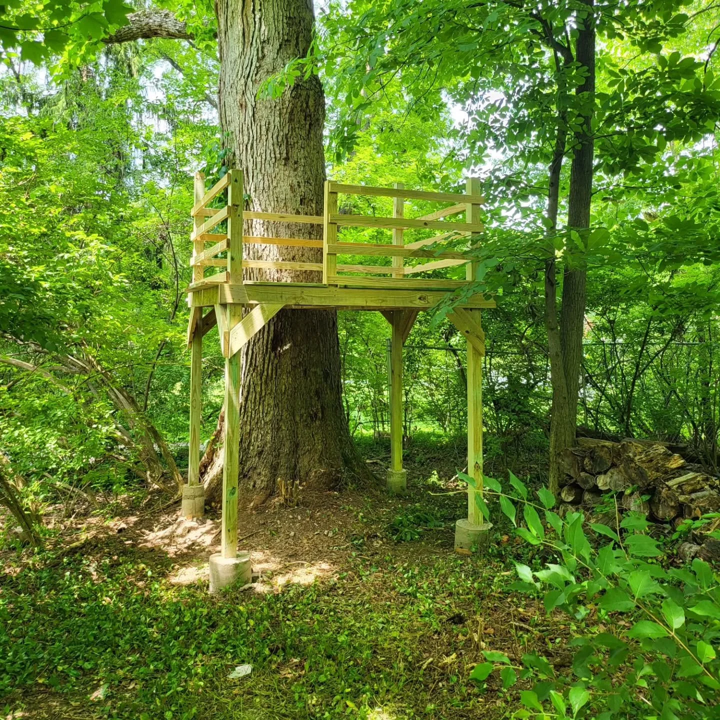 Backyard zipline? Yes please! 

#zipline #summer #fun #amazing #backyard #home #treehouse #nature #play #imagination #montessori #yard #climb #treeclimbing #hoosiers #indianapolis #fort