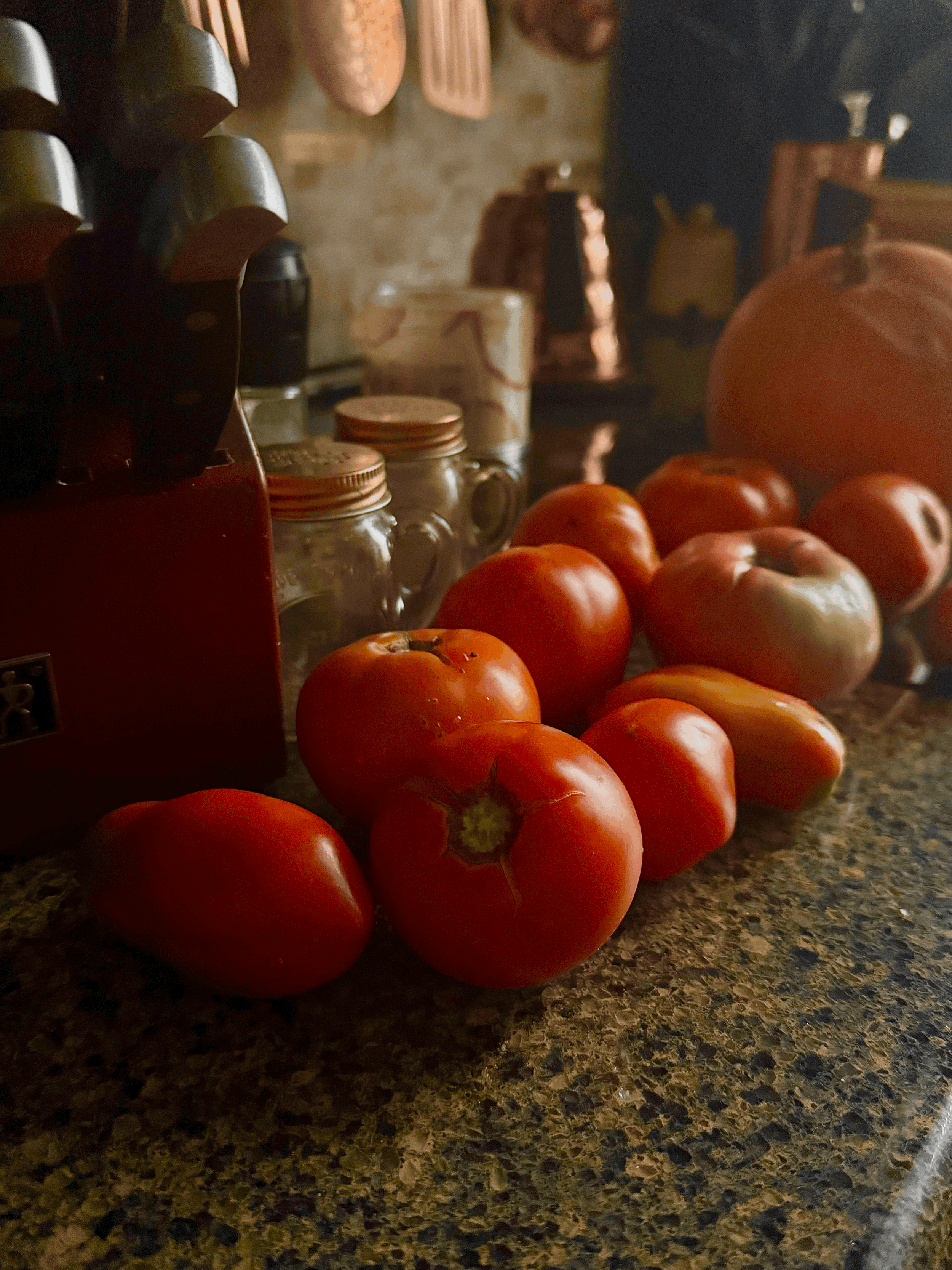 7 Things to Do in Your Garden Before Summer Ends