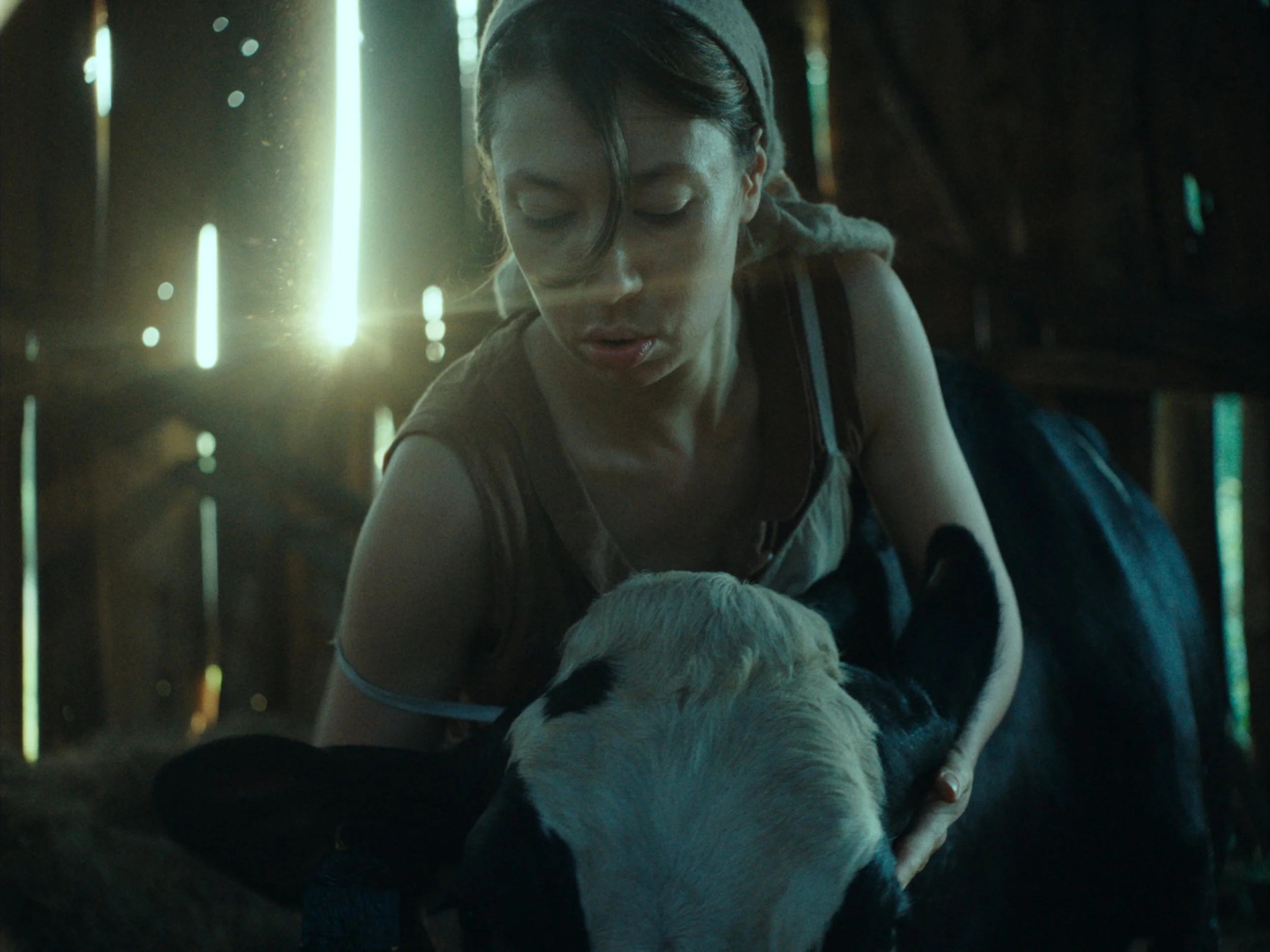 Sfaw_filmstills_0001.jpg