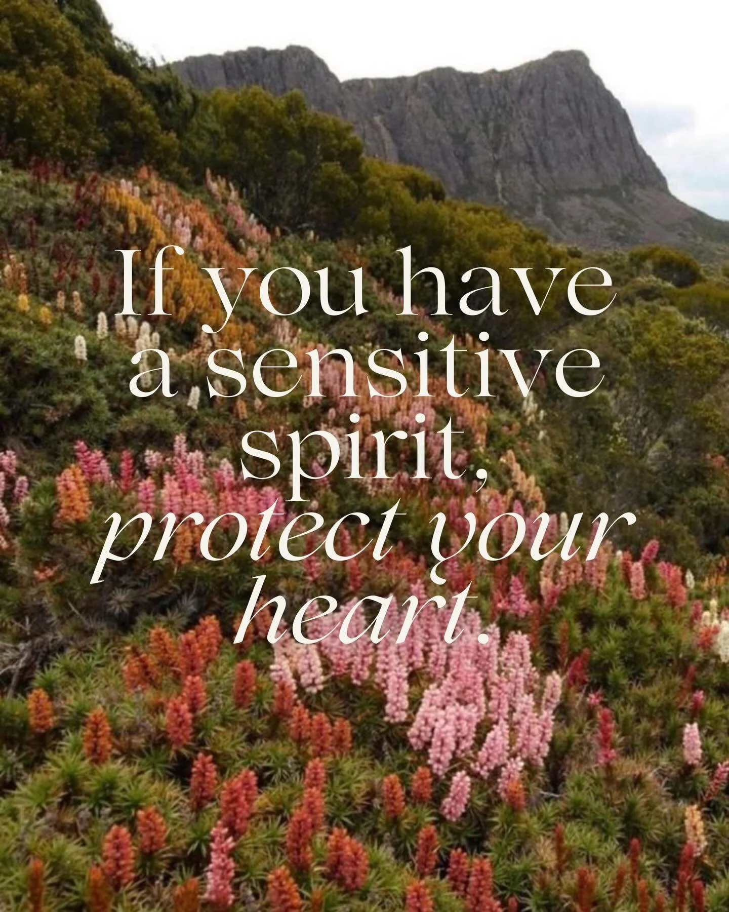 I&rsquo;ve never really identified as a sensitive spirit. But lately I&rsquo;m realizing just how sensitive I actually am. 

I&rsquo;m sensitive to the emotions of others, to harsh lights, chaotic sounds, and oh how sensitive I am to the world right 