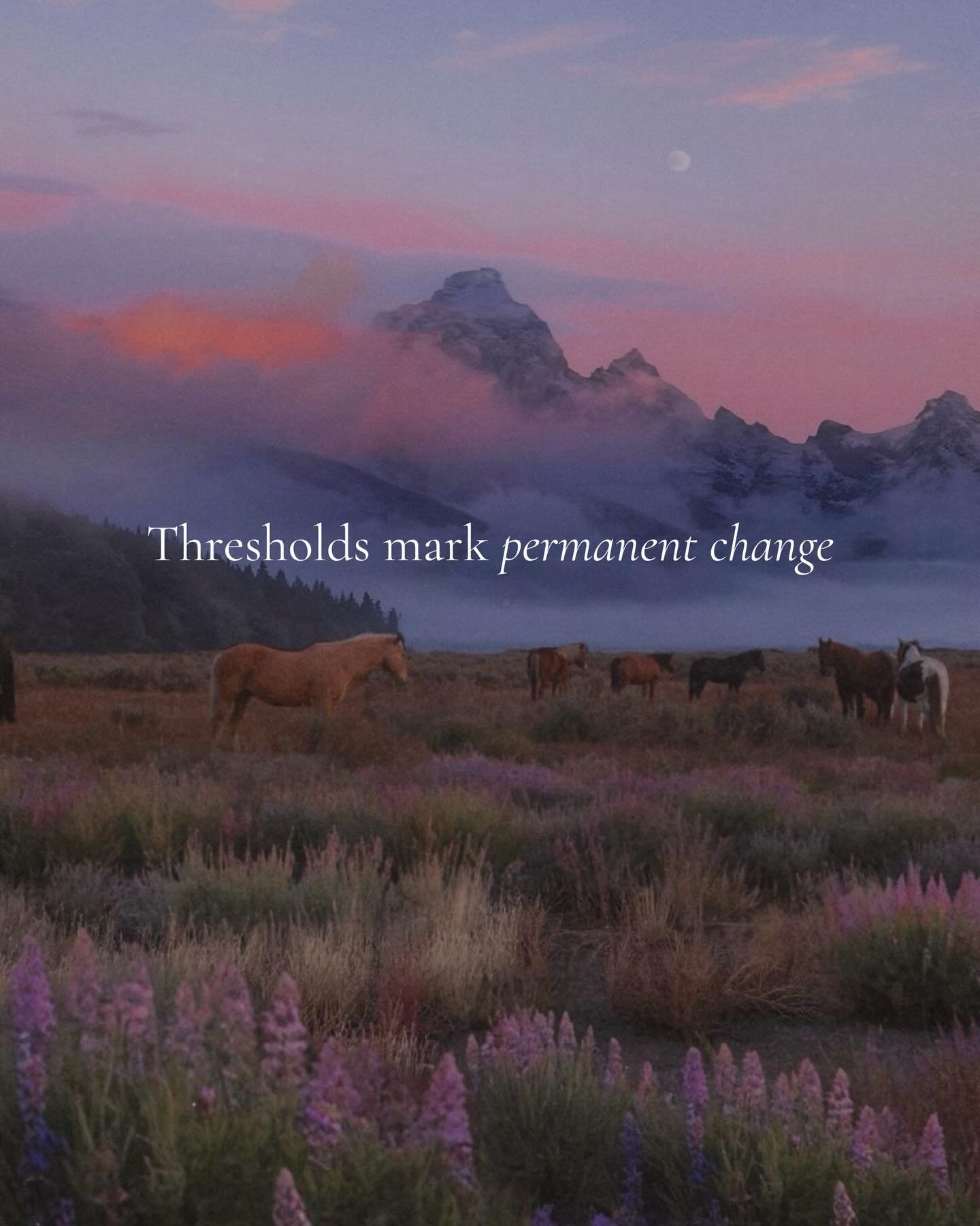 As a lover of thresholds, I&rsquo;m treating my 1:1 sessions and groups as such&hellip; a threshold moment for your body and spirit. 

Virtual sessions can be booked right at the link in bio ✨ In-person sessions are by request. 

#breathwork #breathw