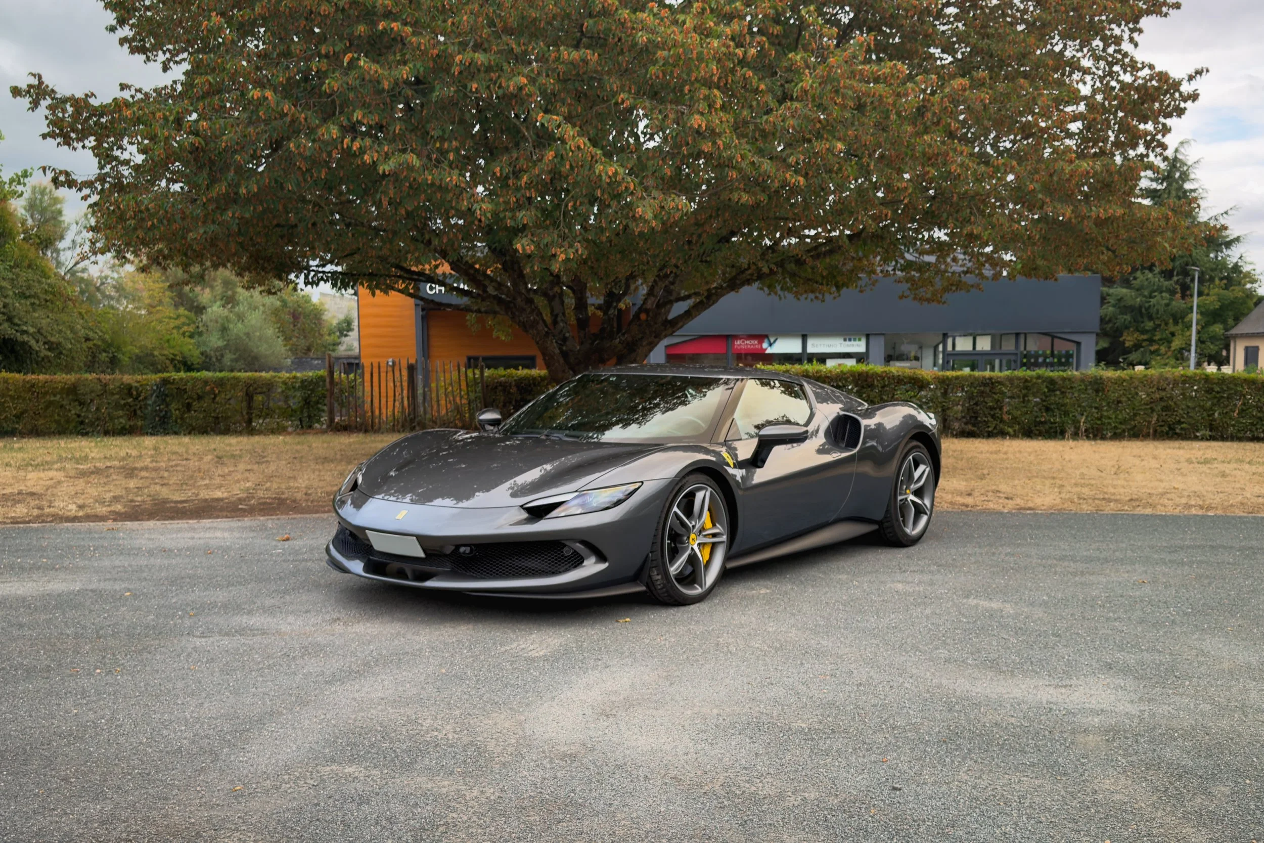 296 GTB.jpg