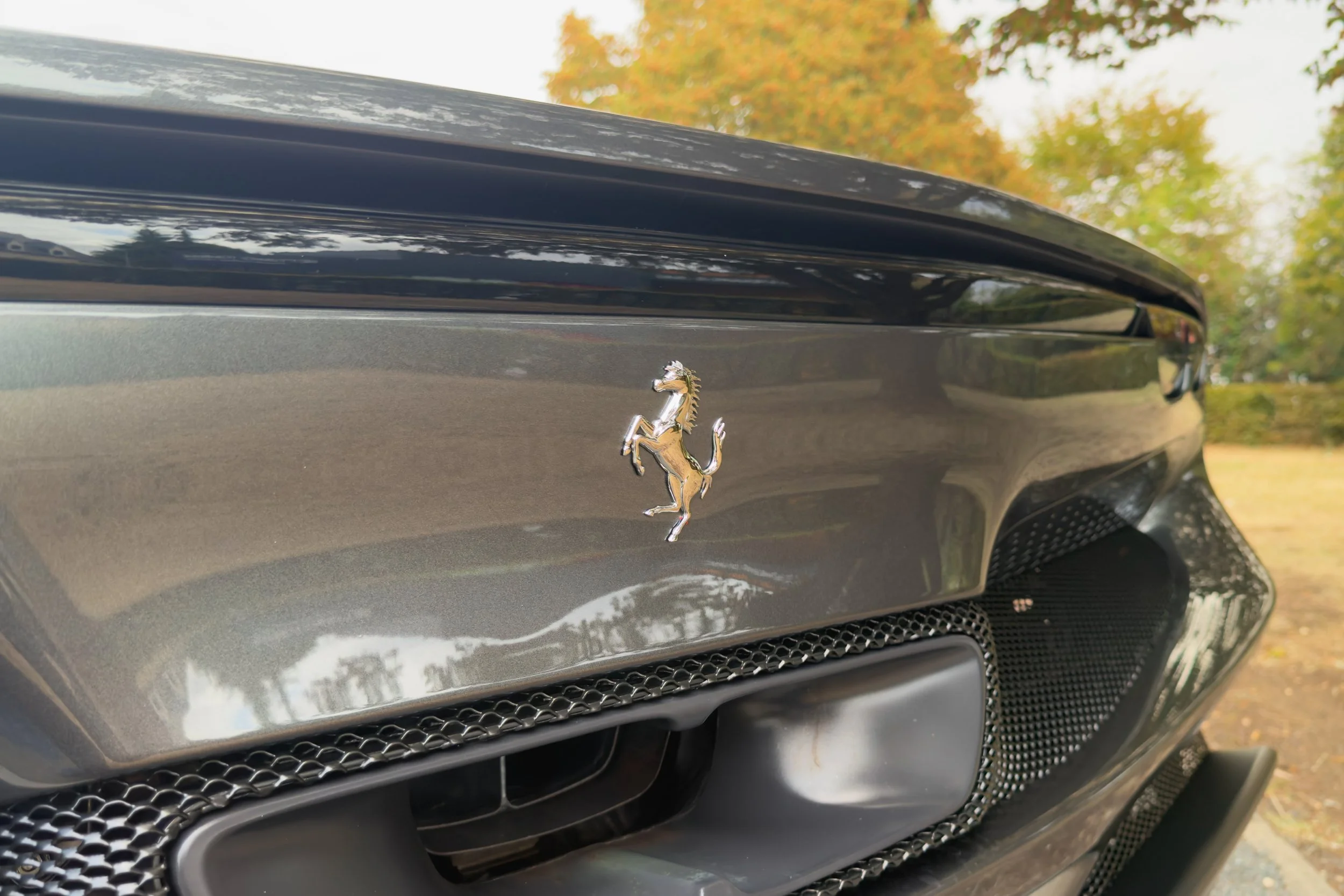 296 GTB-10.jpg