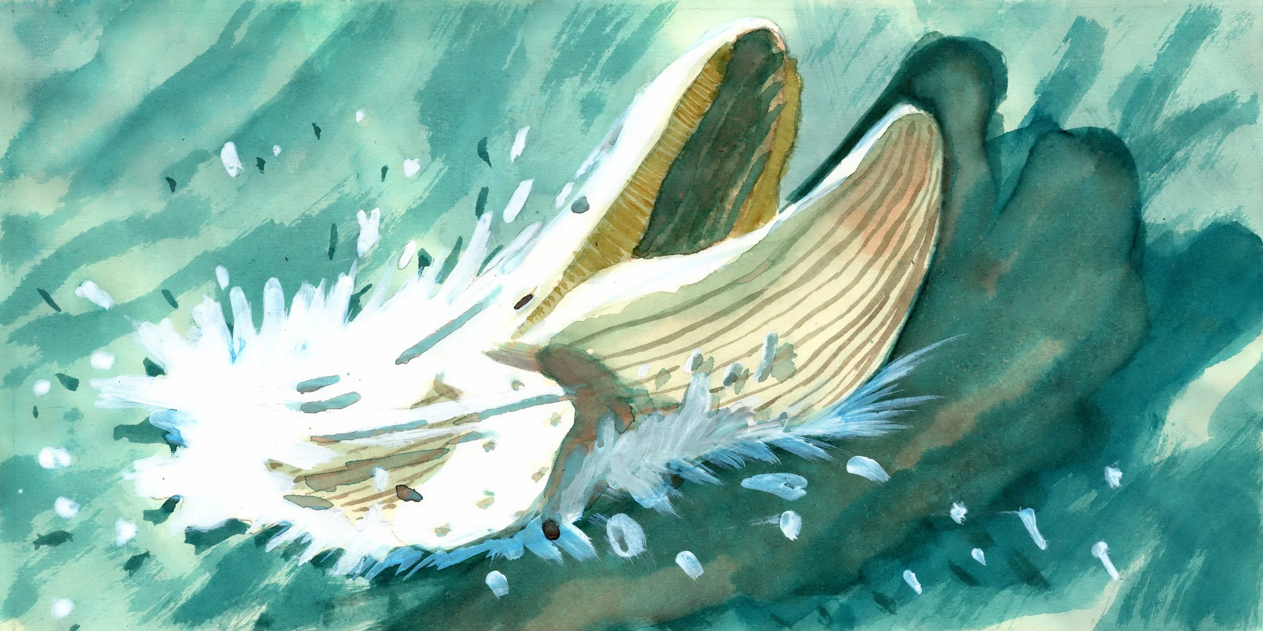 Illustrazione 4.jpg