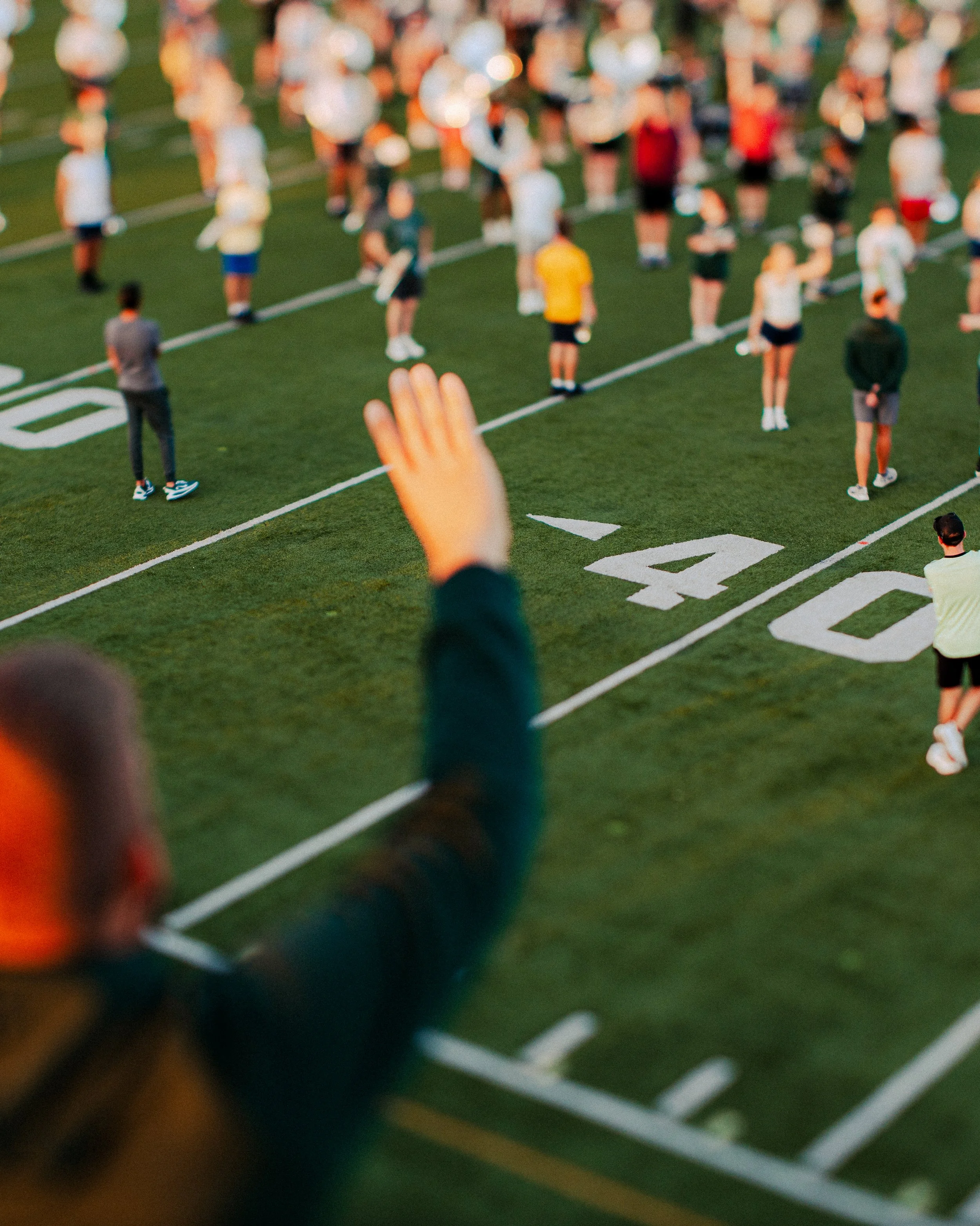 NDV07474.jpg