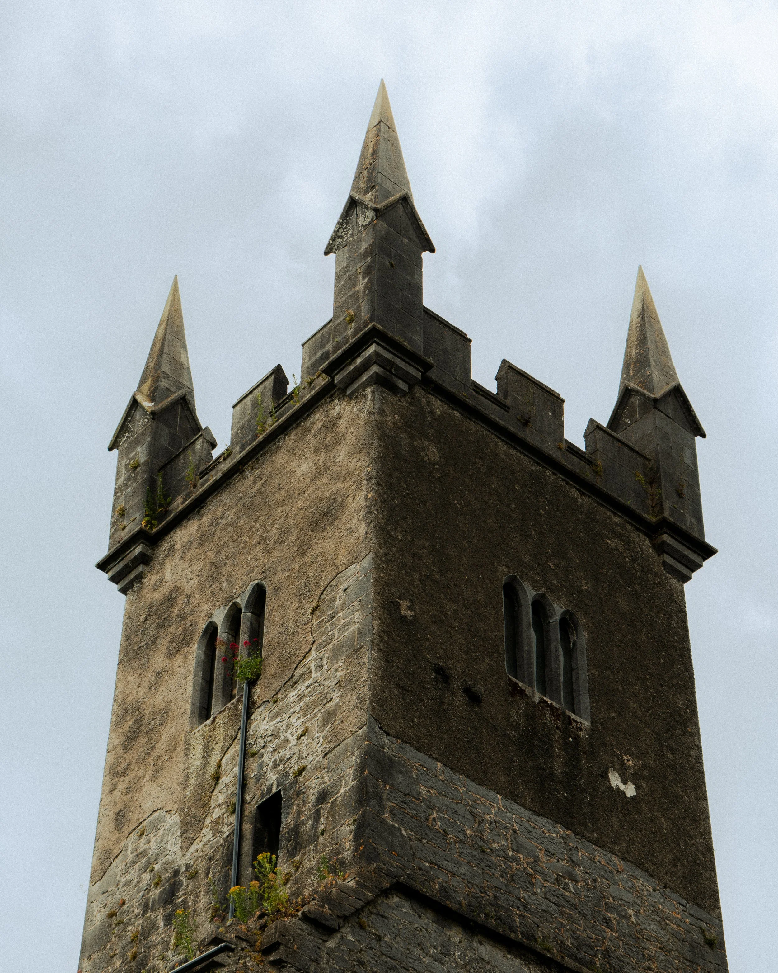 NDV05373.jpg