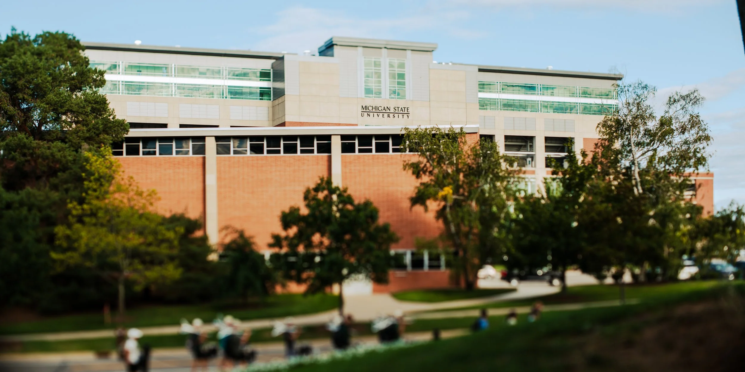 NDV07238.jpg