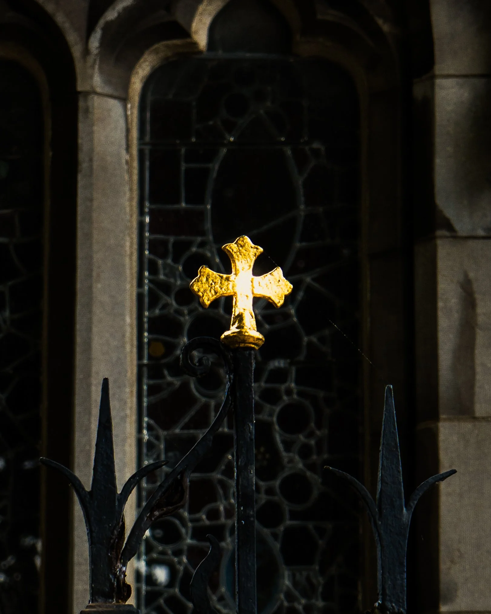 NDV05889-2.jpg
