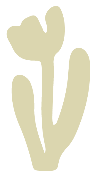 Grassroots Kitchen & Tap - Scottsdale