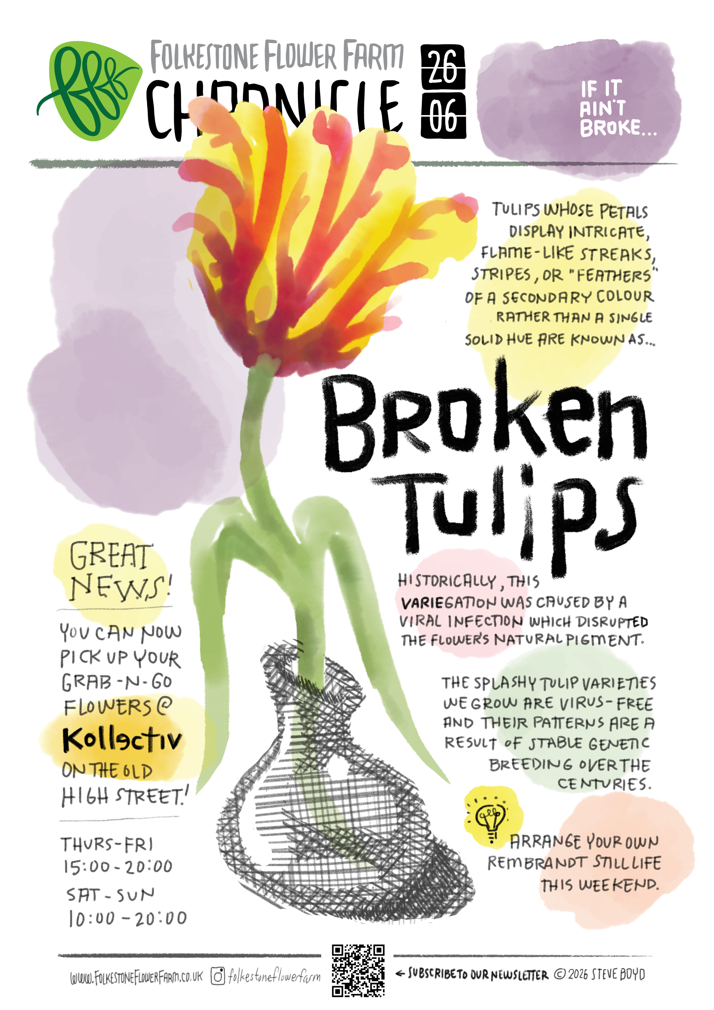 Broken Tulips