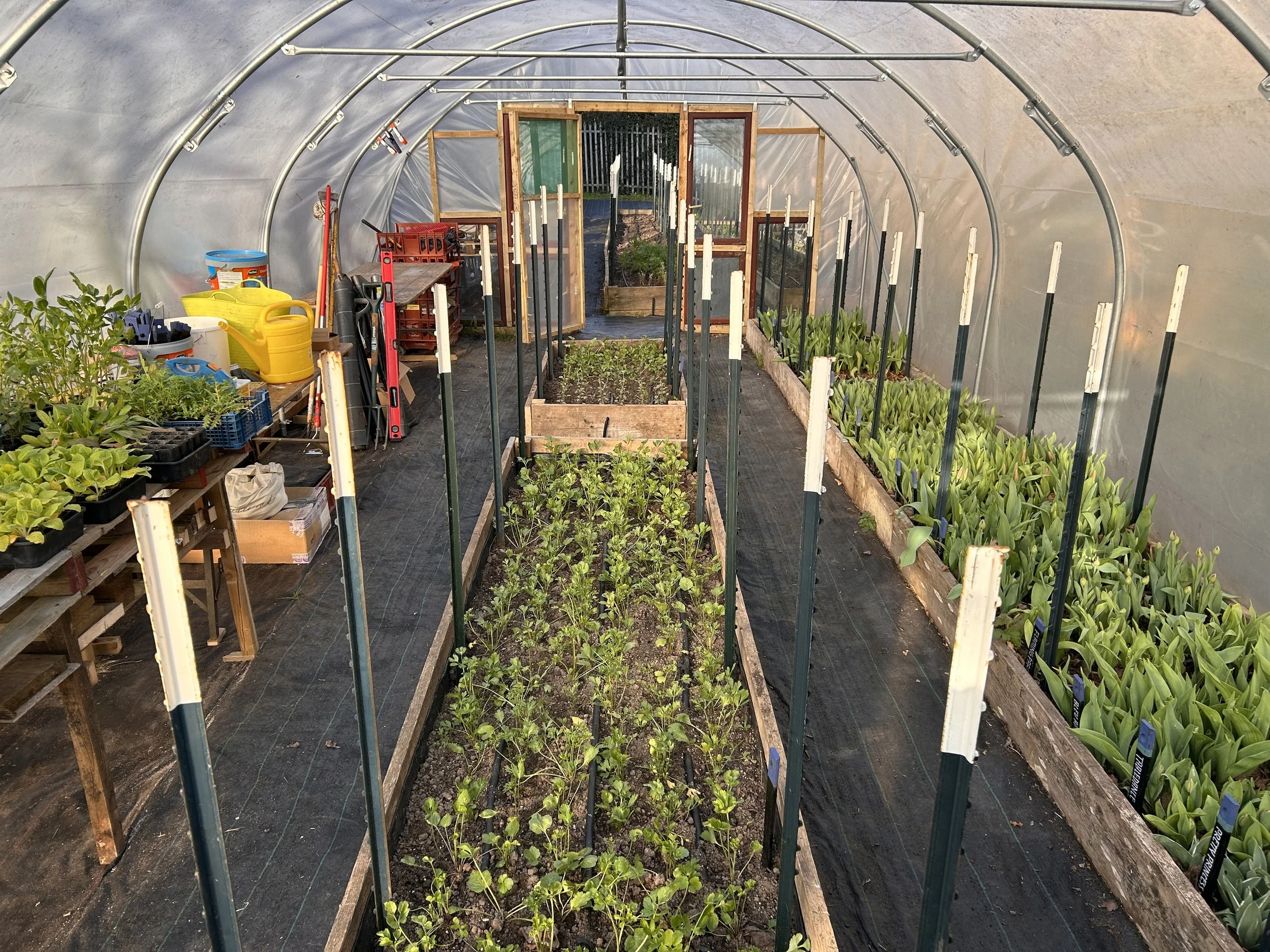 BEHIND DOCKER BAKERY