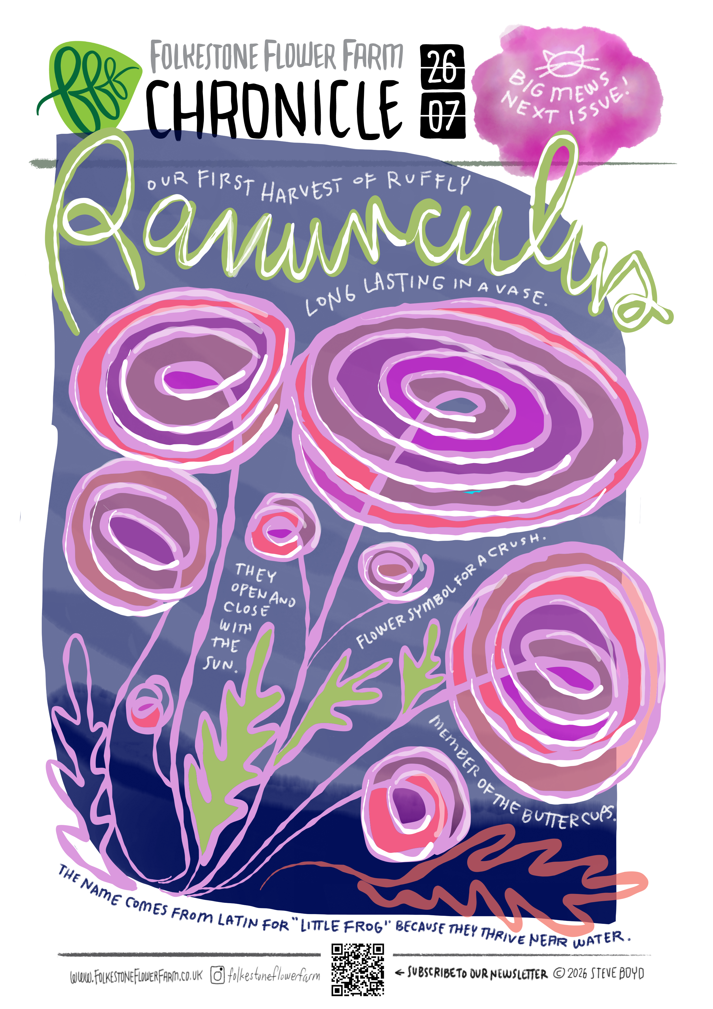 Ranunculus