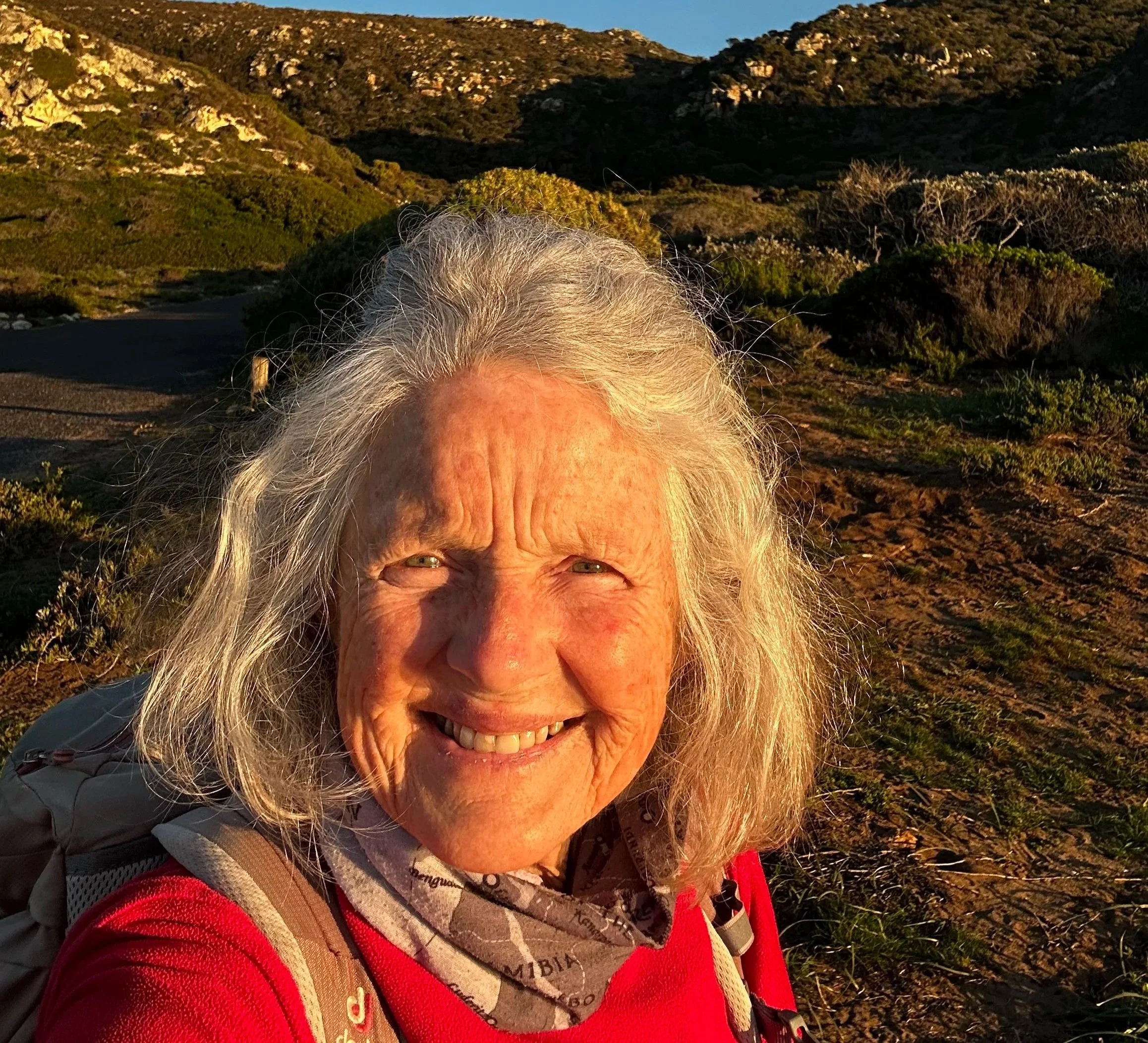 Judith Hapgood MHom, LCCH
