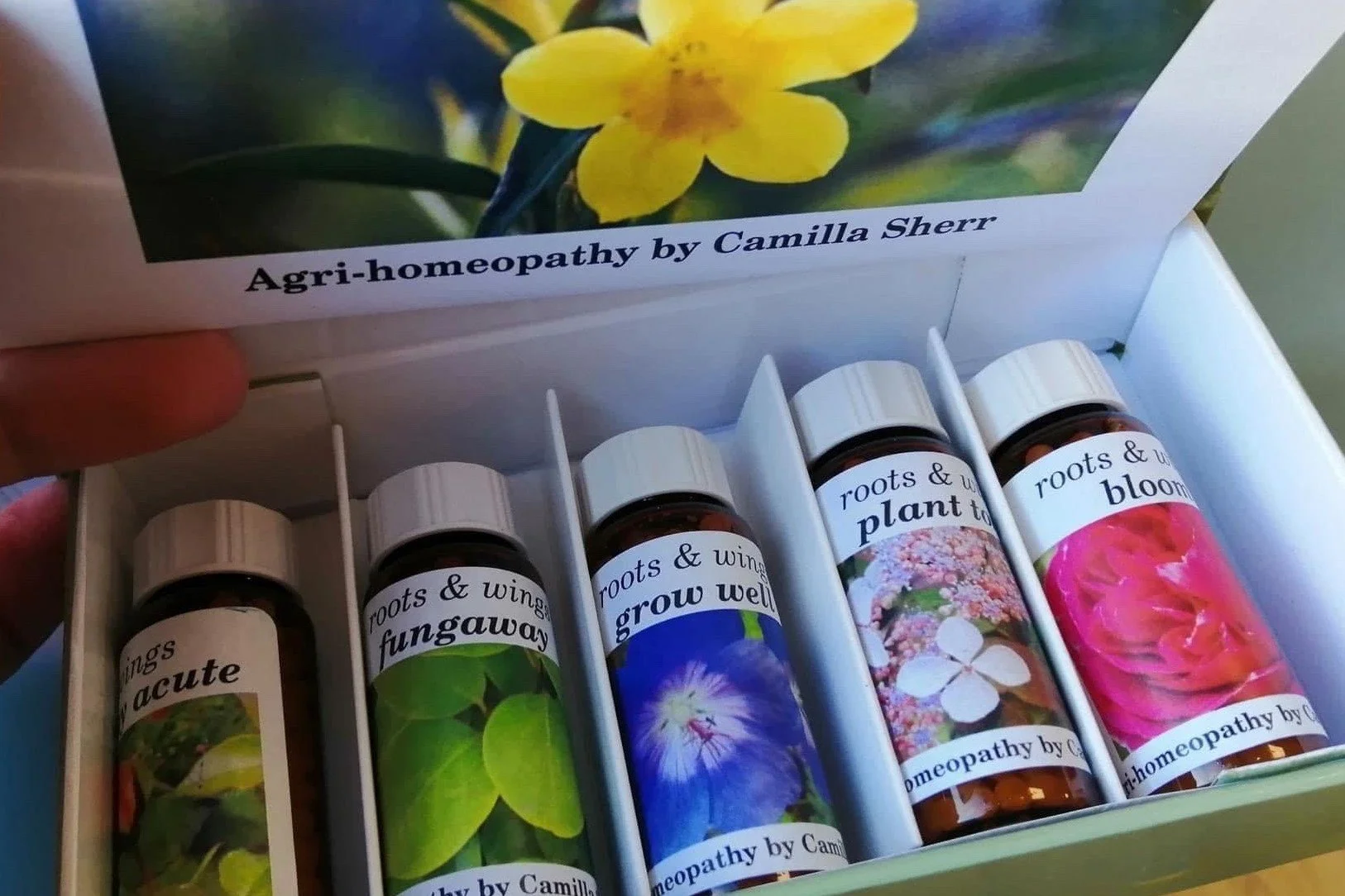 A box containing five small bottles of homeopathic remedies with labels, including 'Fungaway', 'Grow Well', 'Plant', and 'Bloom', each with a picture of a different flower or plant.