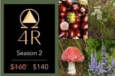 4R Season 2 on Sherr Online, with horse chestnut and fly agaric