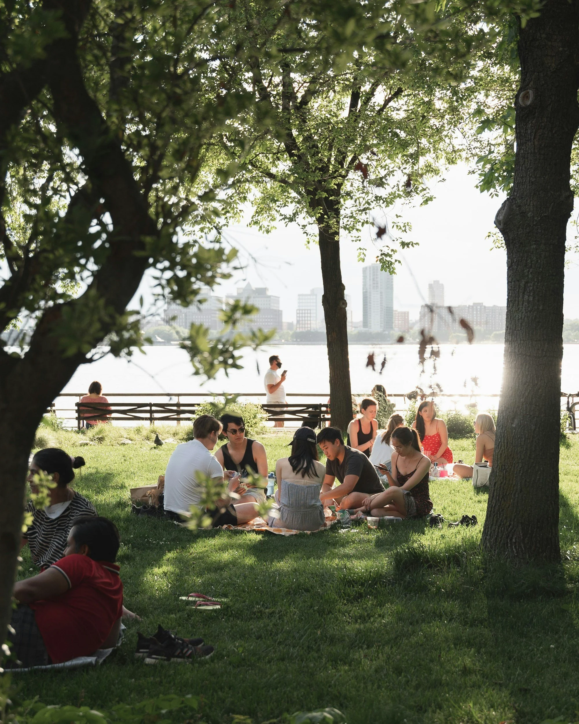People enjoying a picnic under the trees.