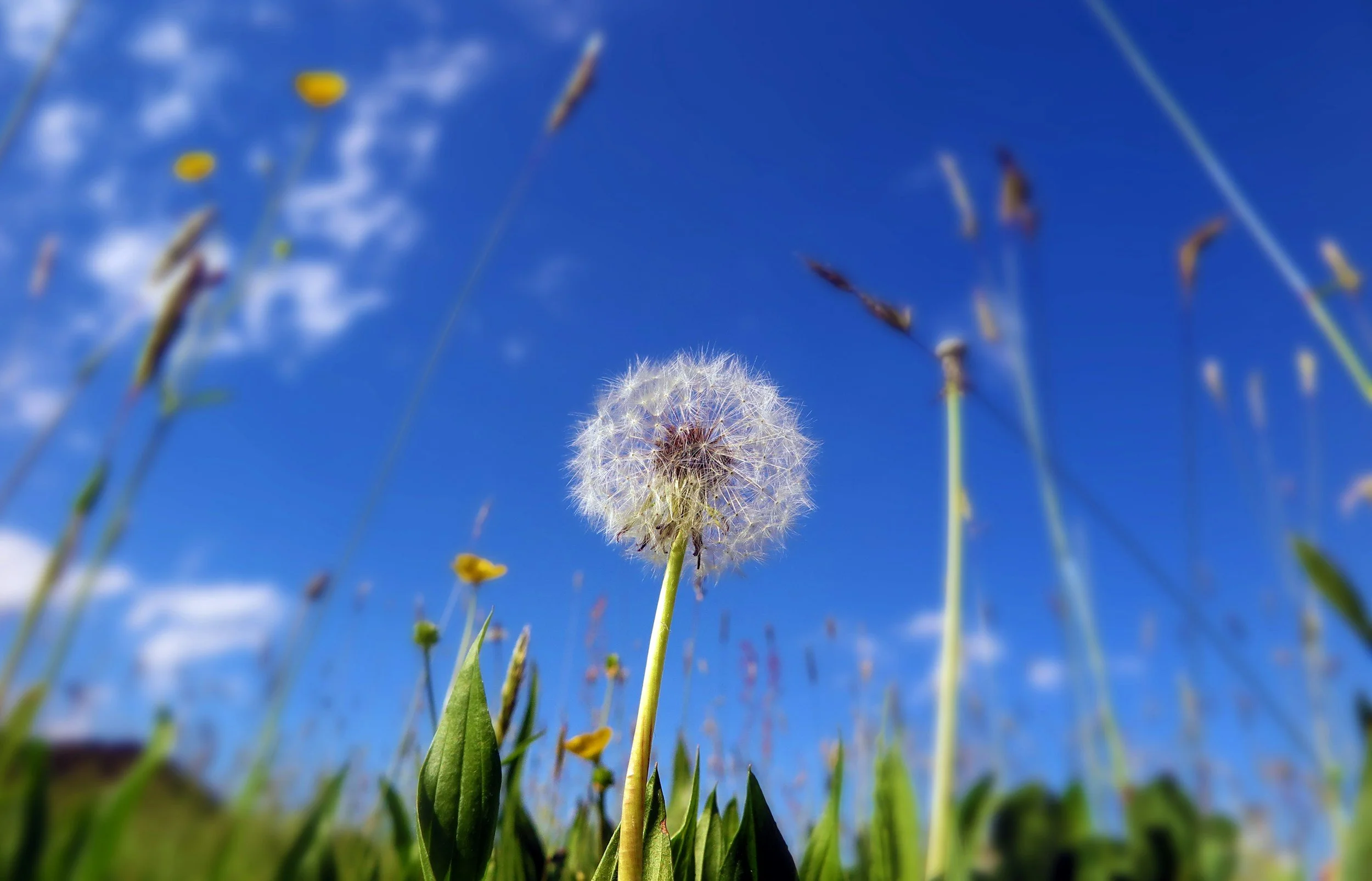 Spring brings great news!