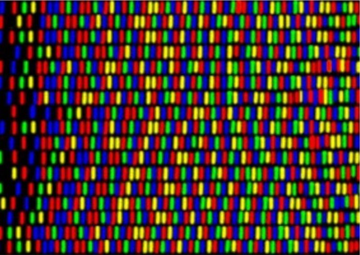 FOTO 8.jpg