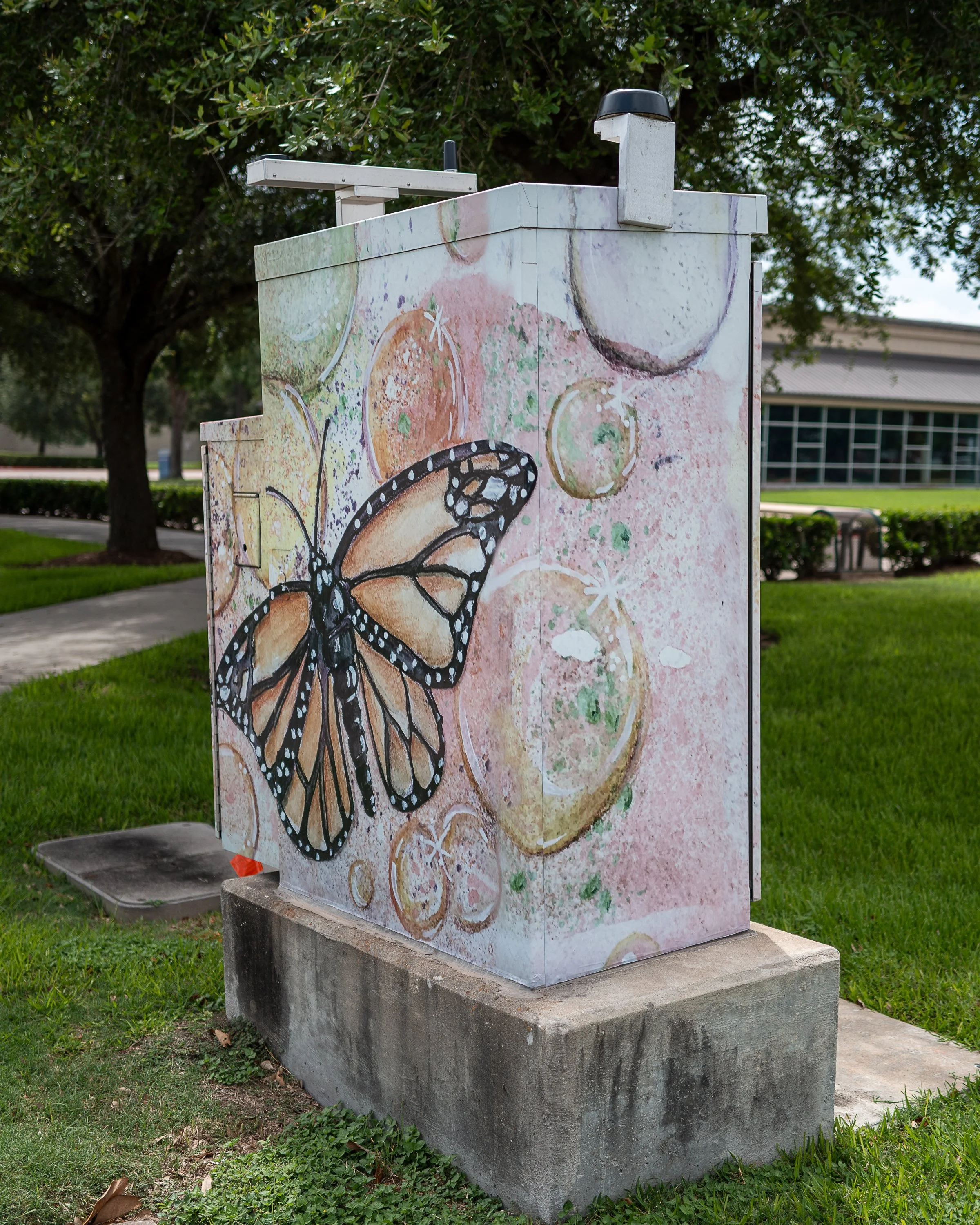 25901-01668.jpg