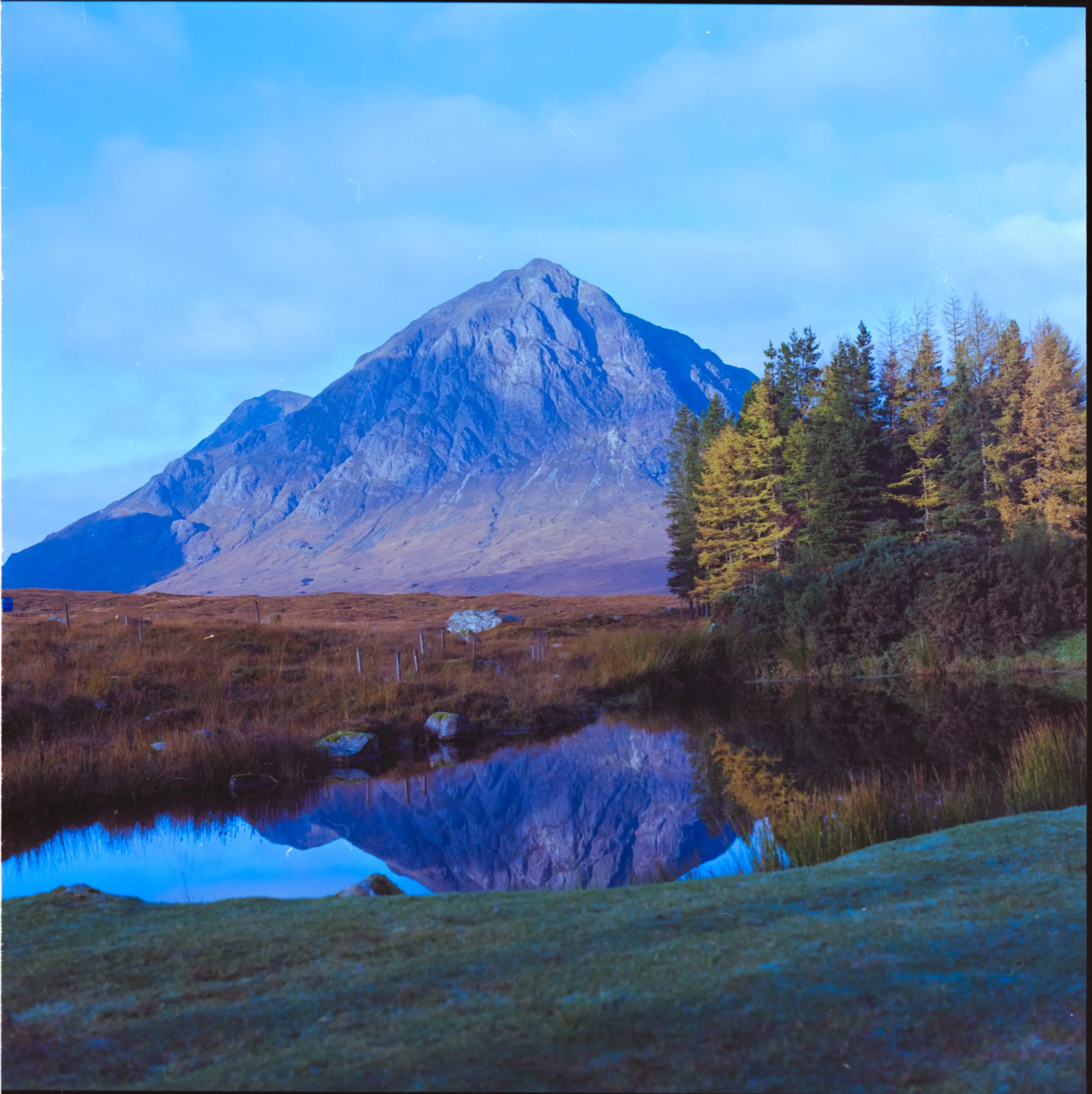 Buachaile Etive Baeg