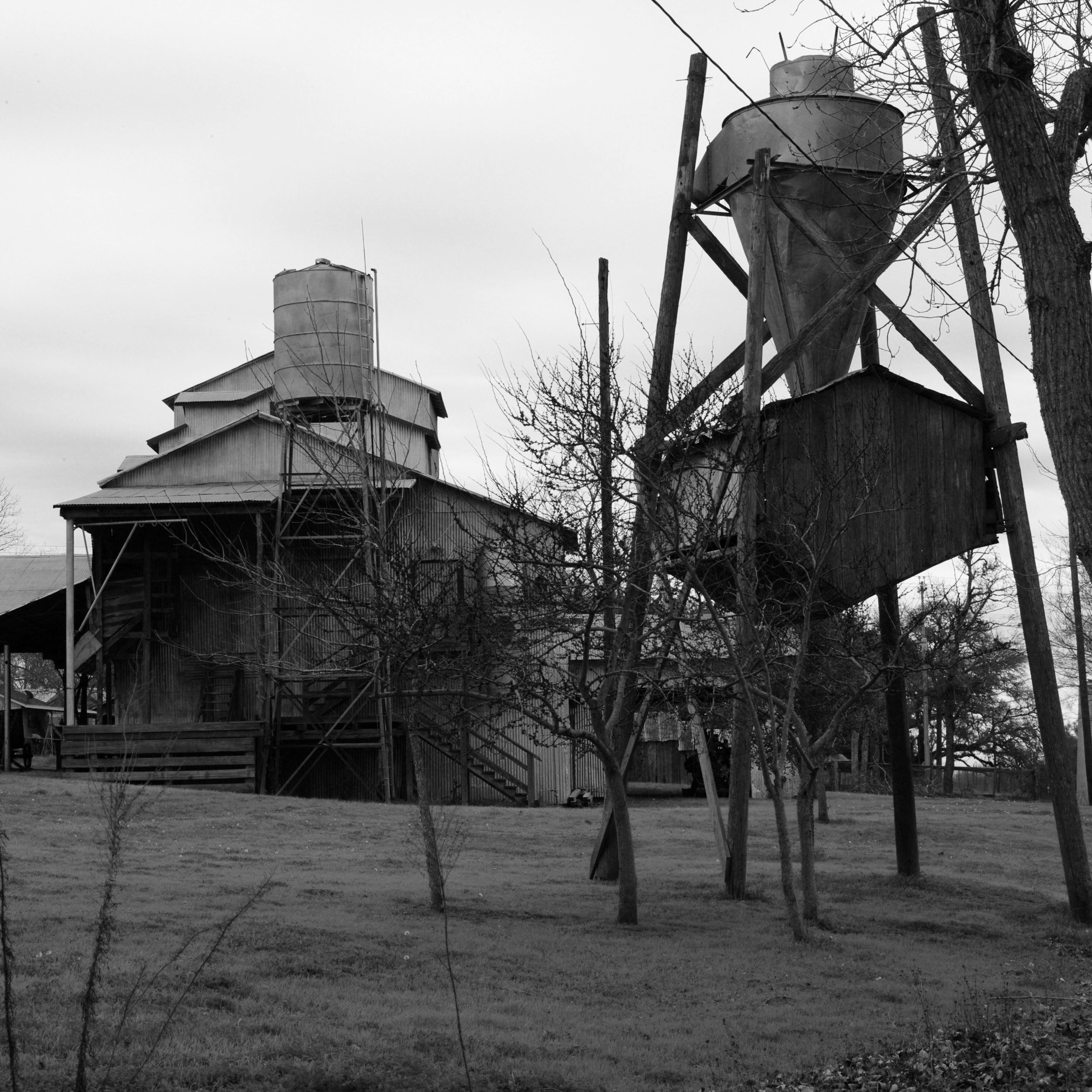 L1006220.jpg