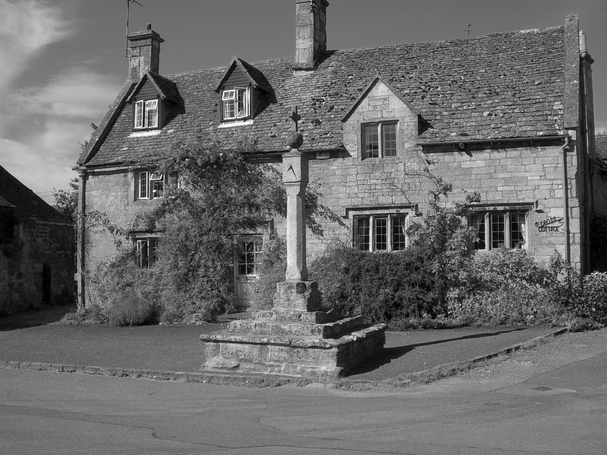 IMGP0397.jpg