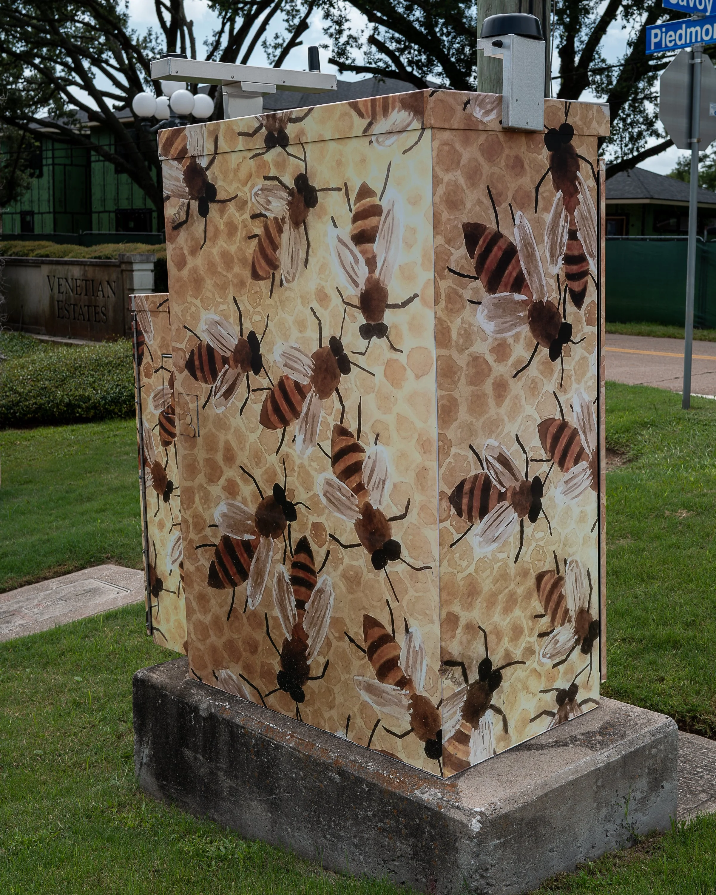 25901-01659.jpg