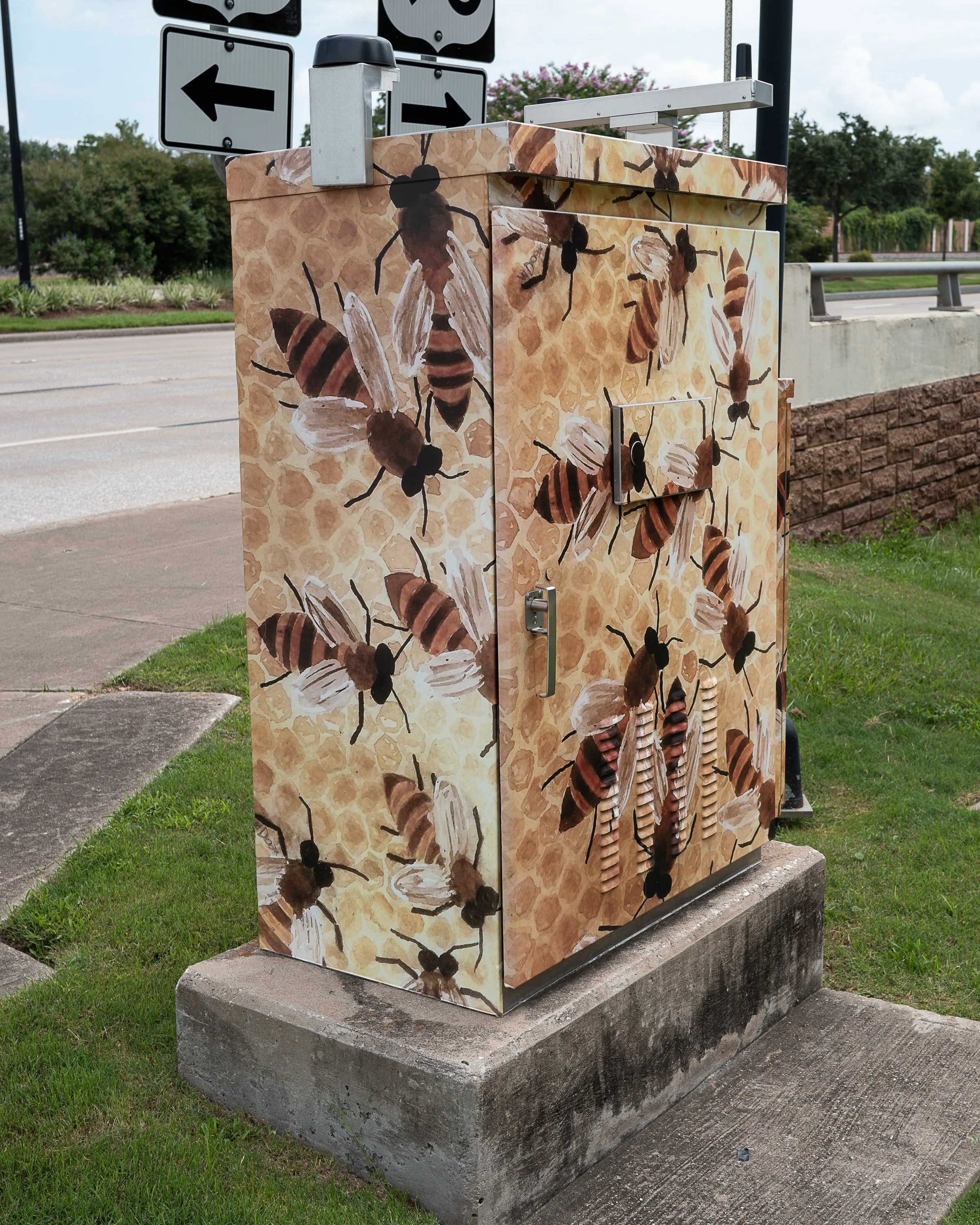 25901-01658.jpg