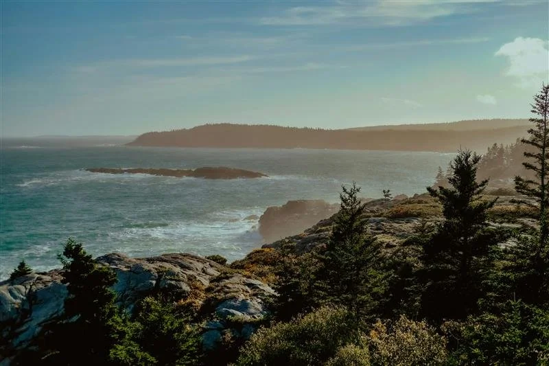 ayla-meinberg-P-ta19Lomz8-unsplash.jpg (Copy)