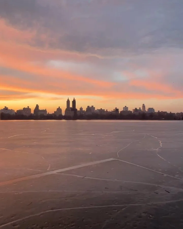 saved all our memories