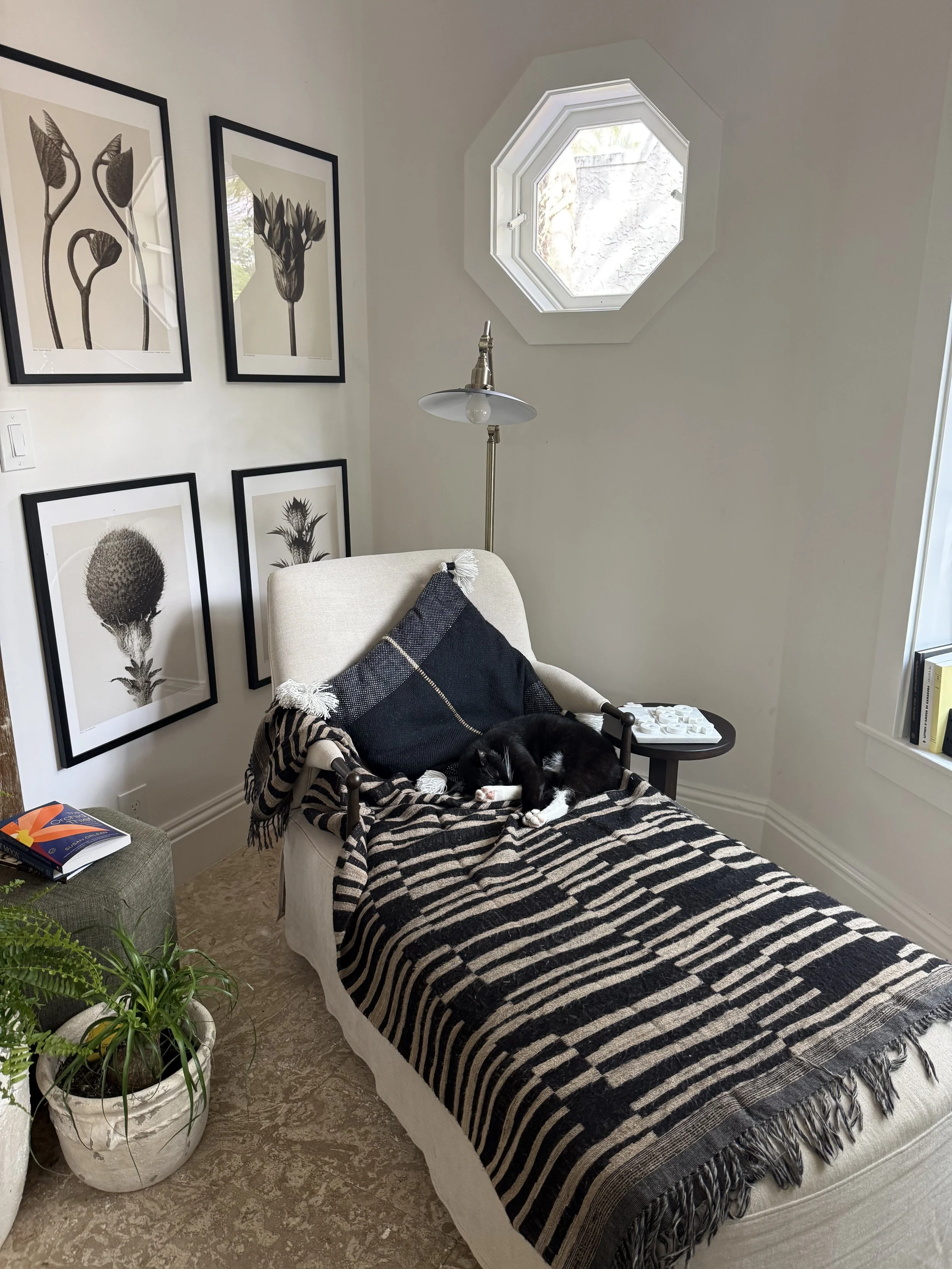 Coconut Grove Interior Designer.jpeg