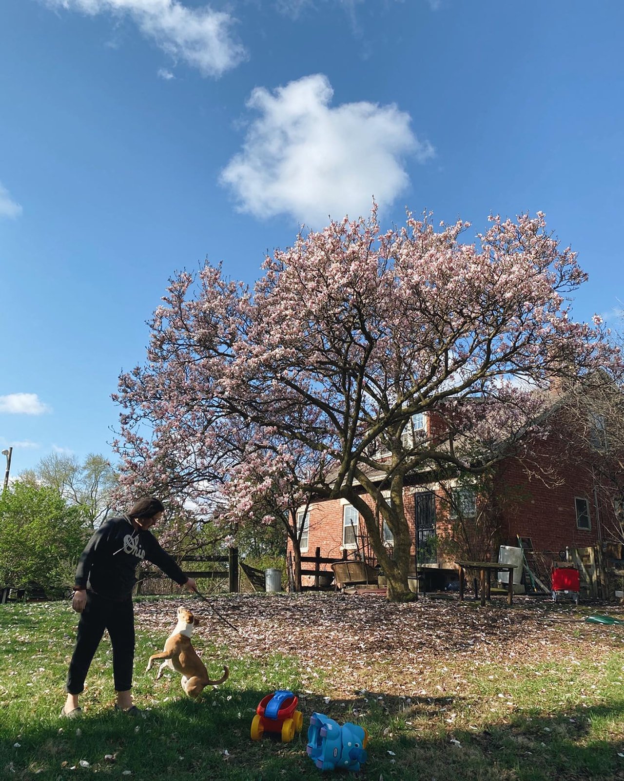 92469275_10157372687404315_5722989917001220096_o_websize (1).jpg