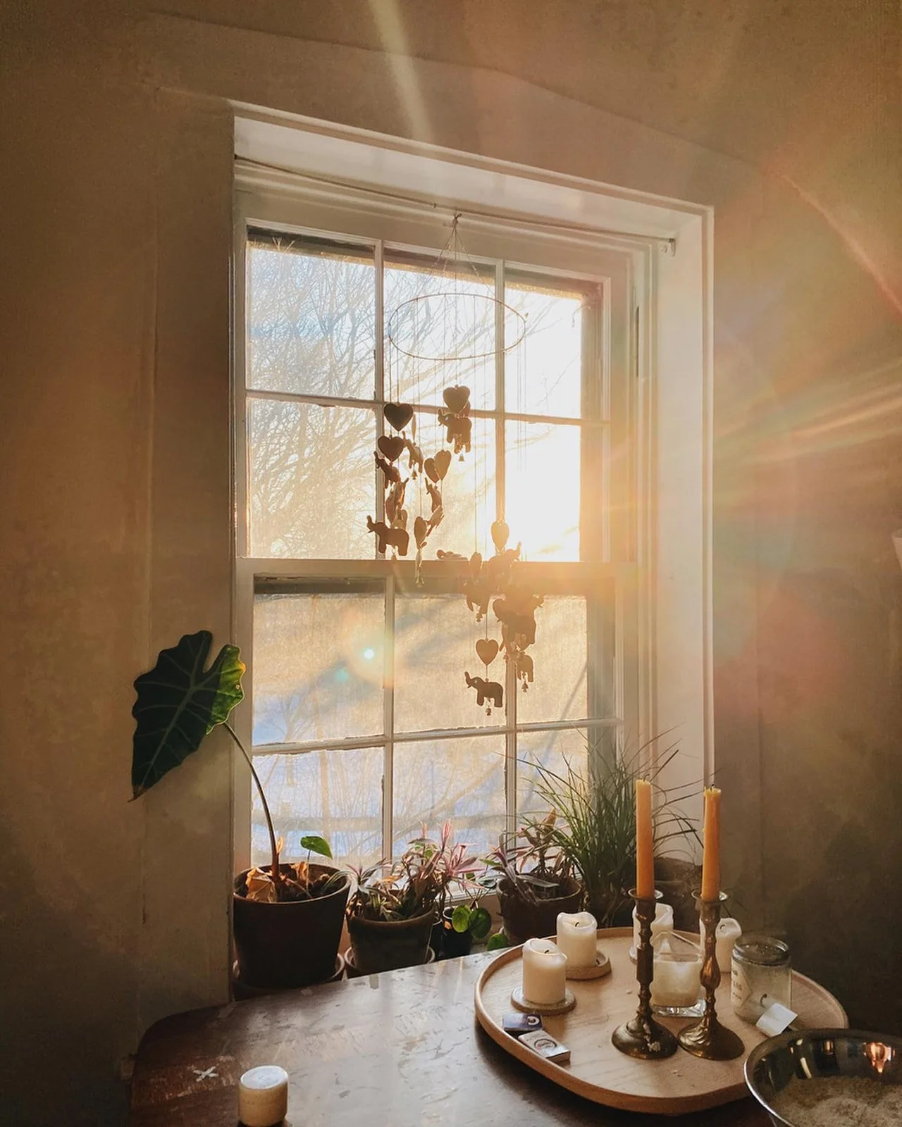 82526999_10157135832759315_6277773750318399488_o_websize (1).jpg