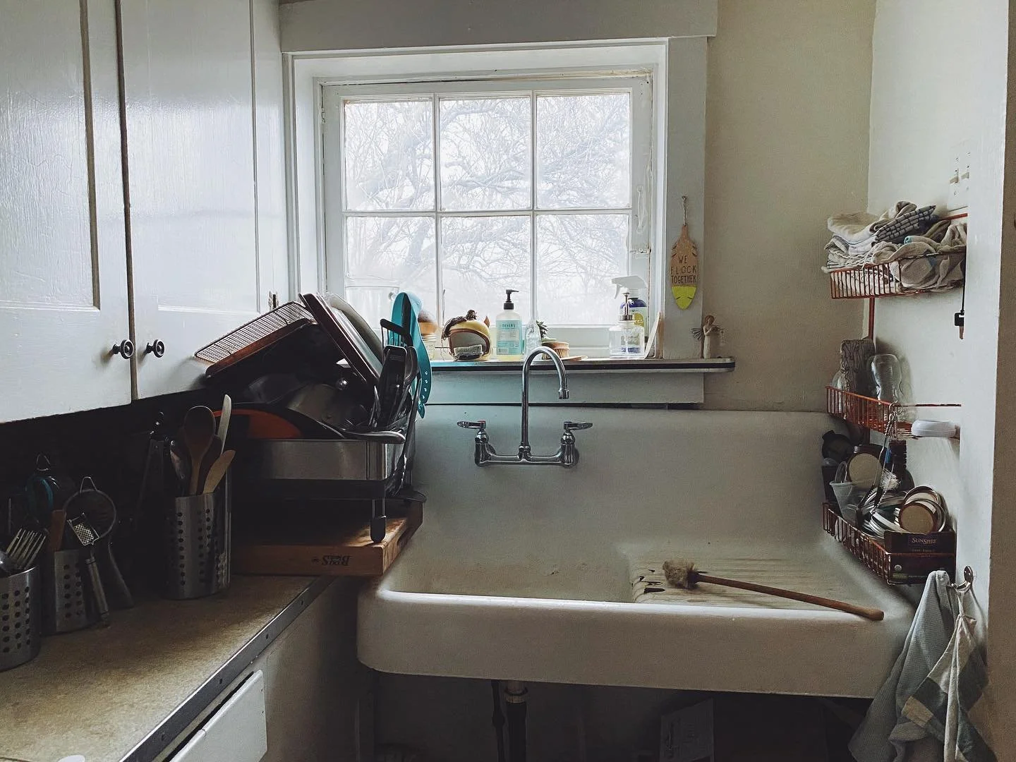 81631370_10157093638589315_5735529267295420416_o_websize (1).jpg