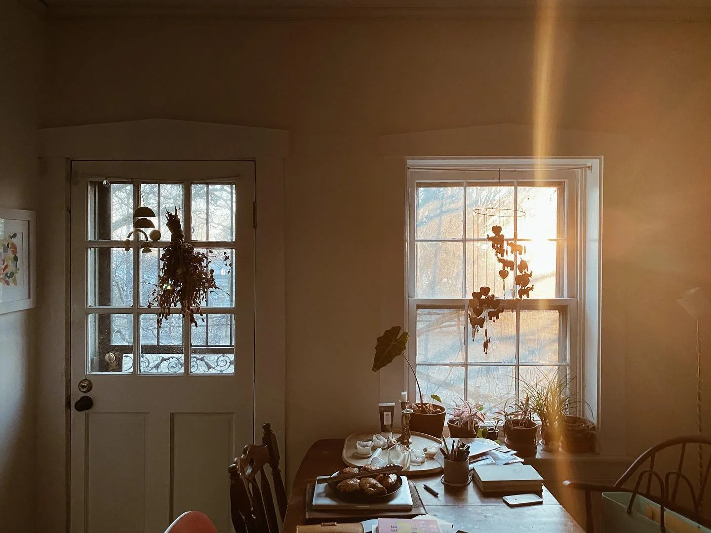 86449687_10157203306699315_1655067421335093248_o_websize (1).jpg